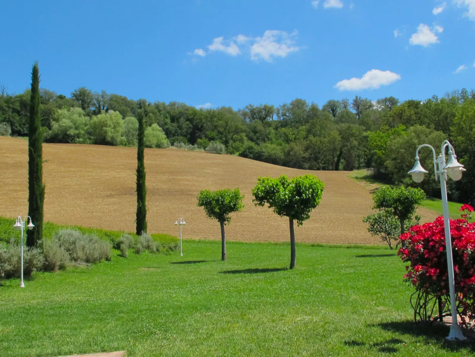 Corbezzolo-Buiten