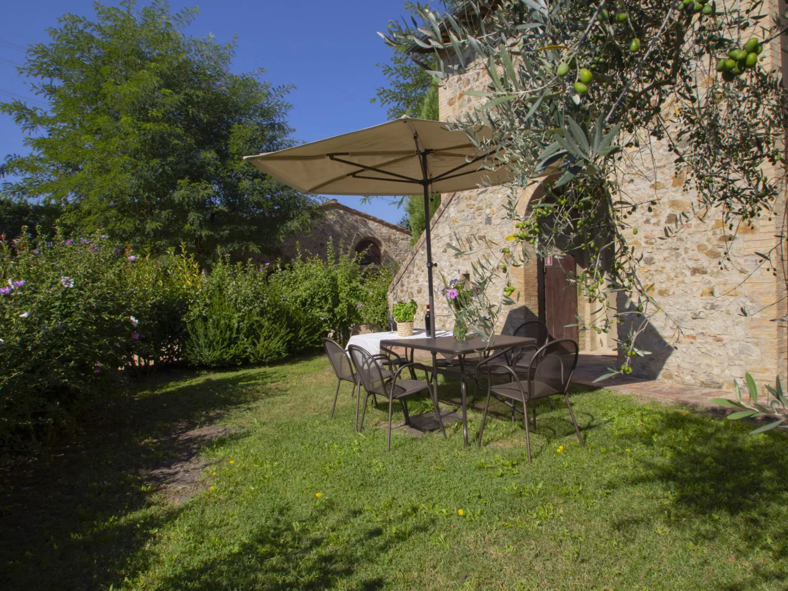 Tenuta-Buiten