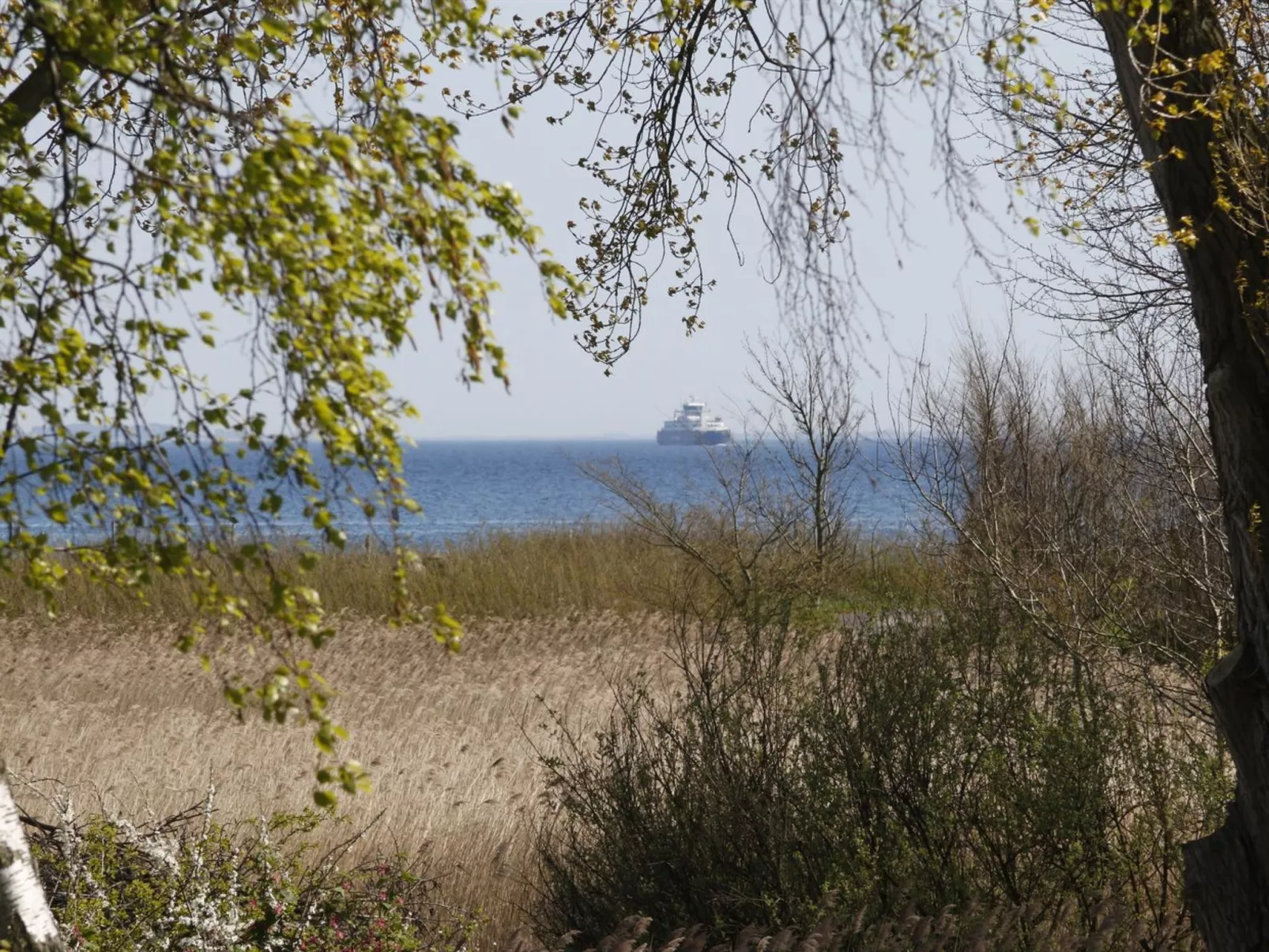 "Bridgette" - 100m from the sea-Buiten