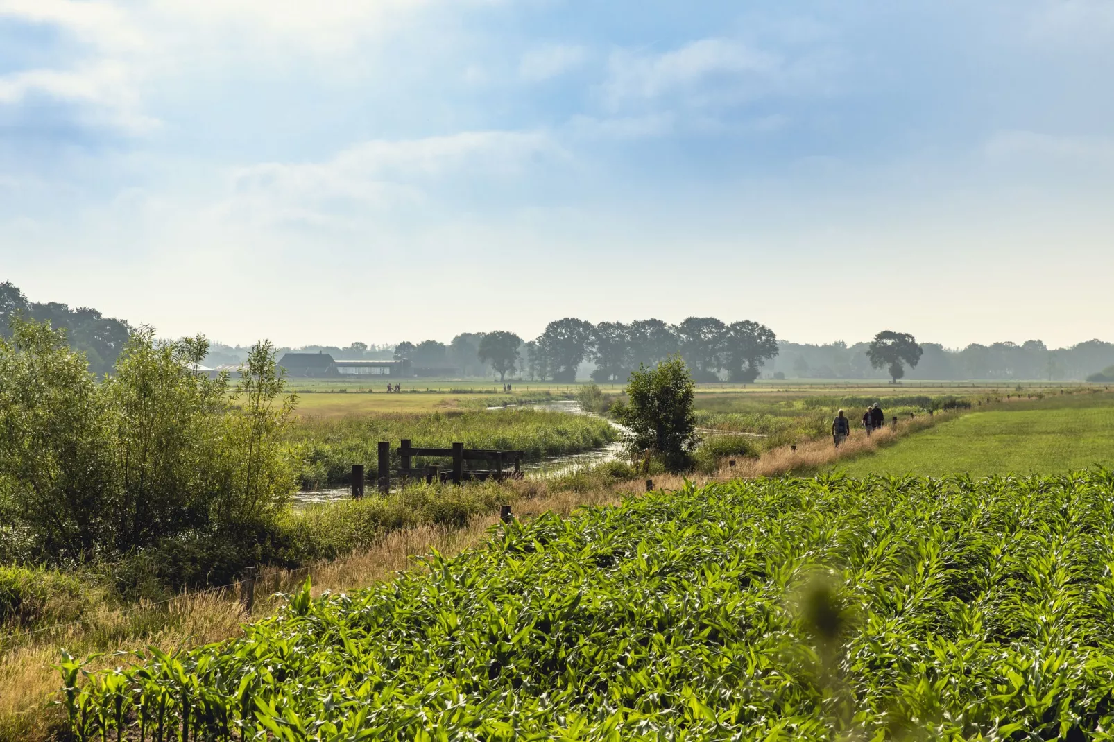 Vakantiepark Mölke 19-Gebieden zomer 1km