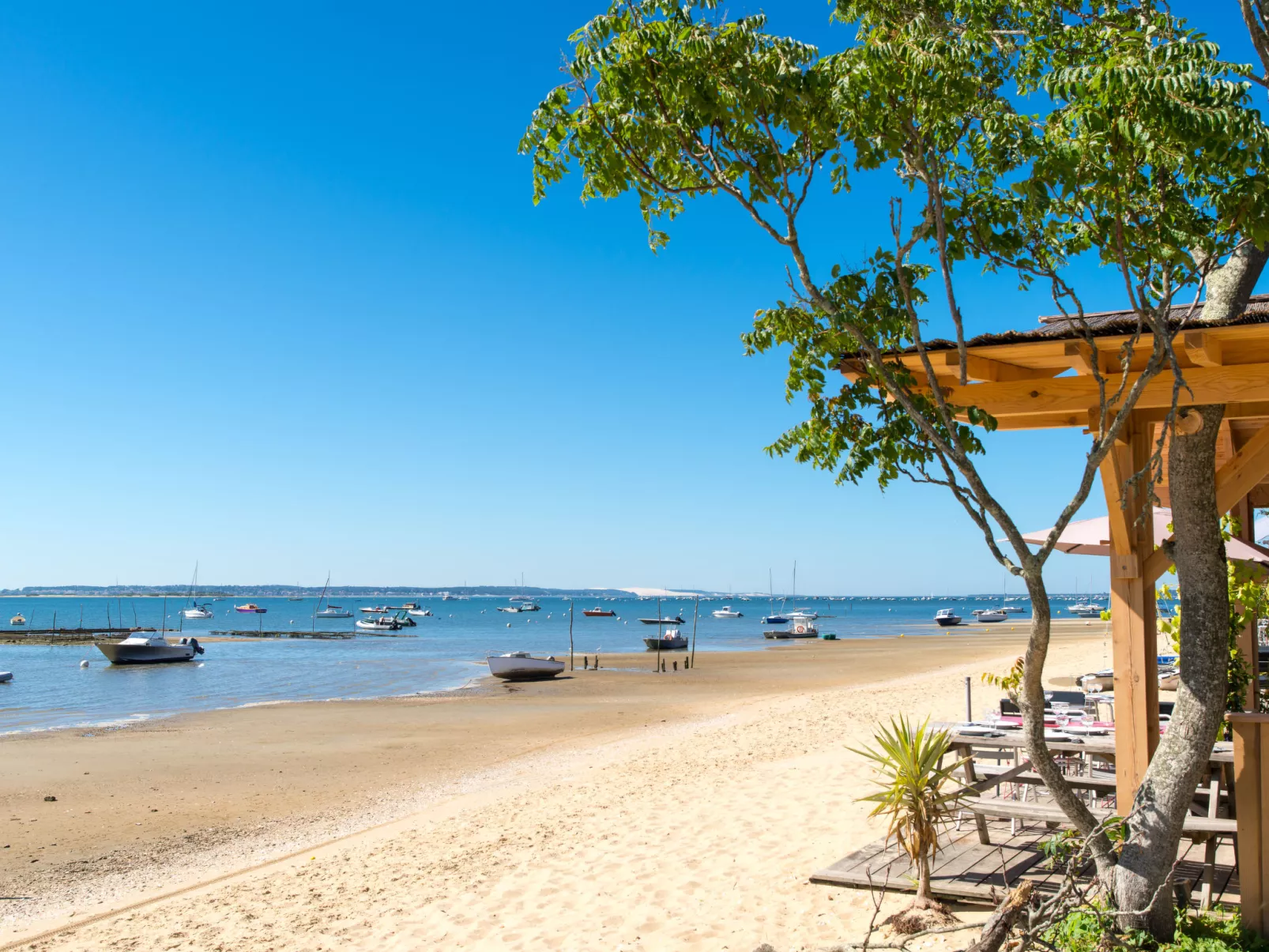 Résidence de la Plage-Omgeving