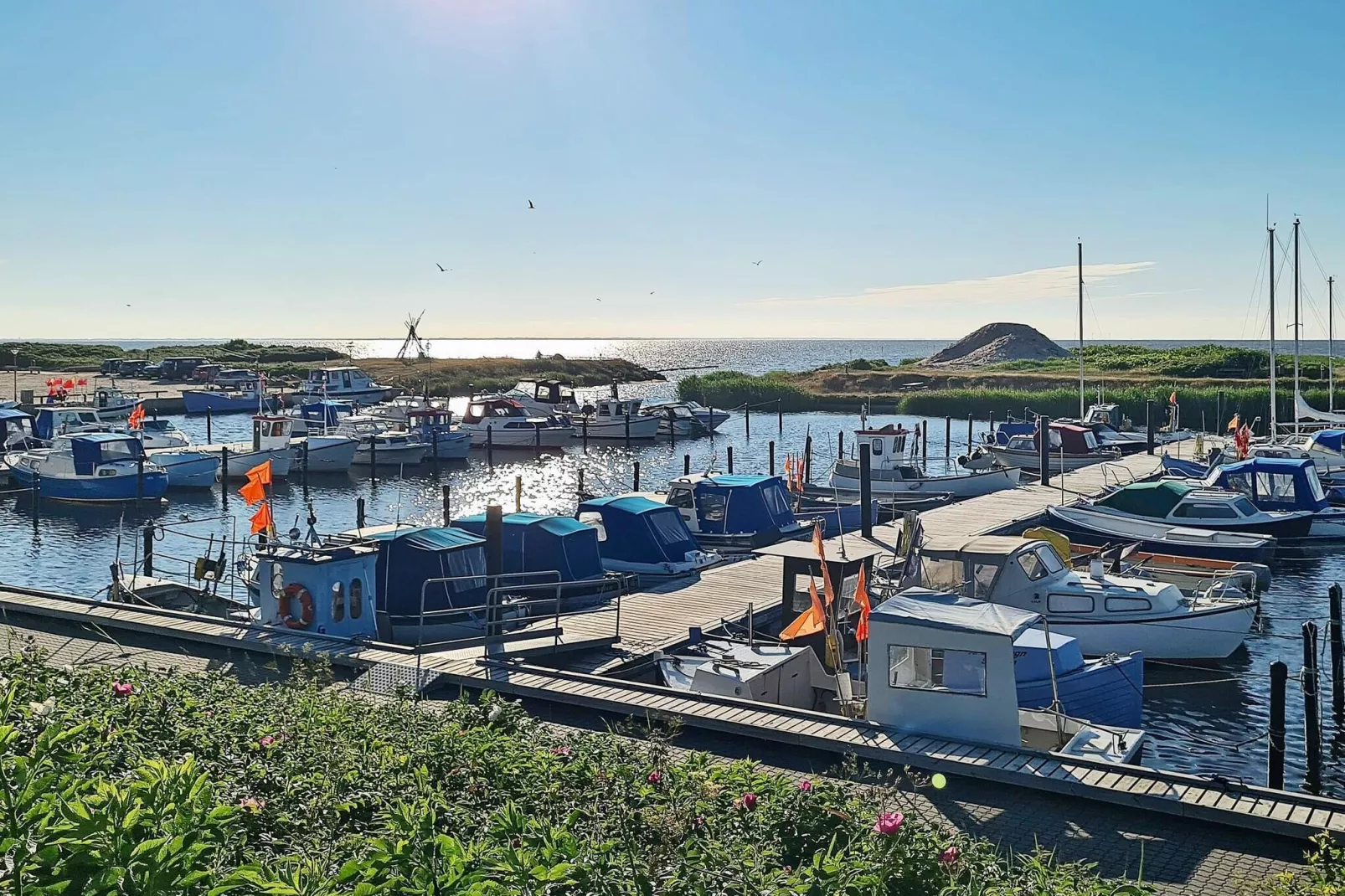6 persoons vakantie huis in Tarm-By Traum-Uitzicht