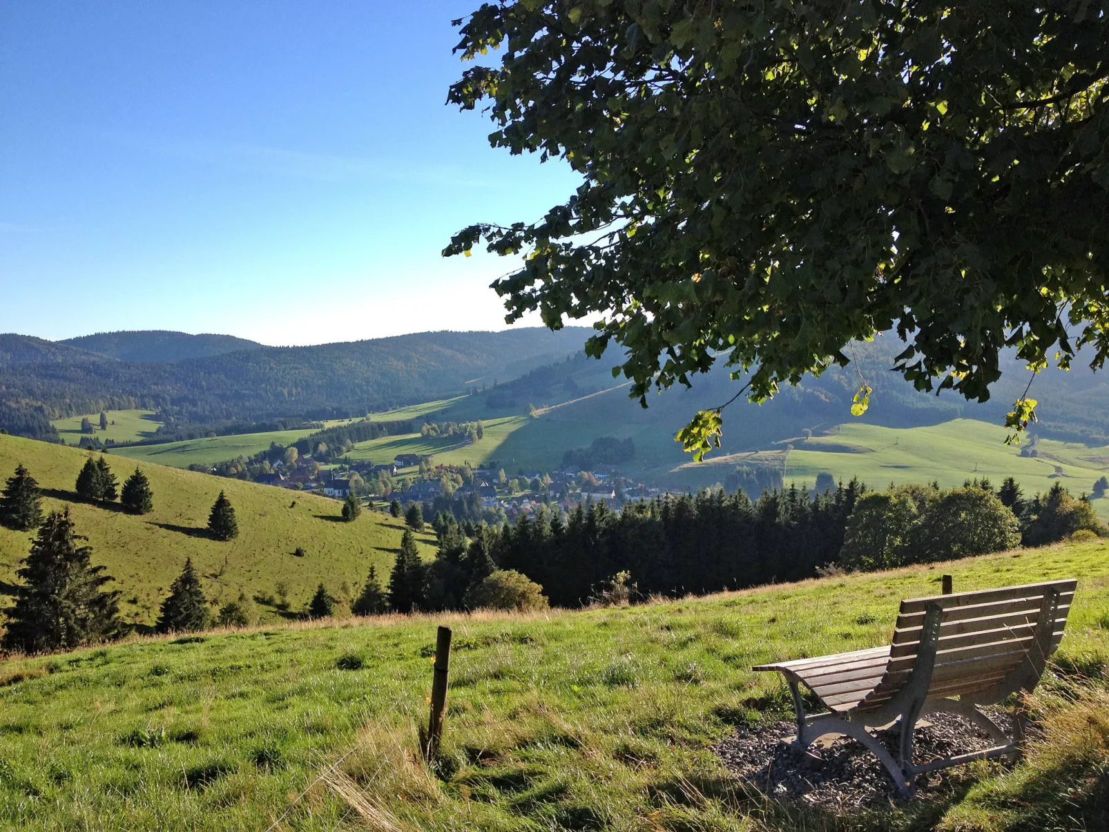 Schwarzwaldblick III-Omgeving