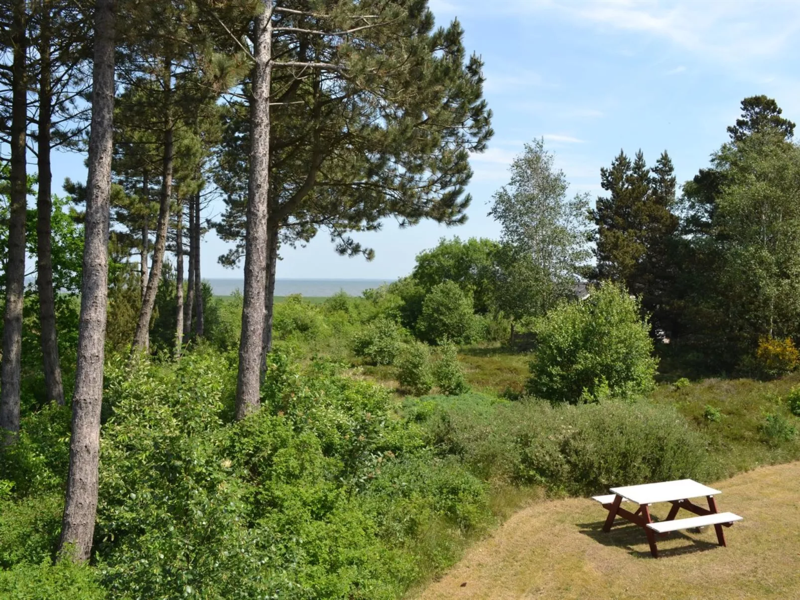 "Volmer" - 3.9km from the sea-Buiten