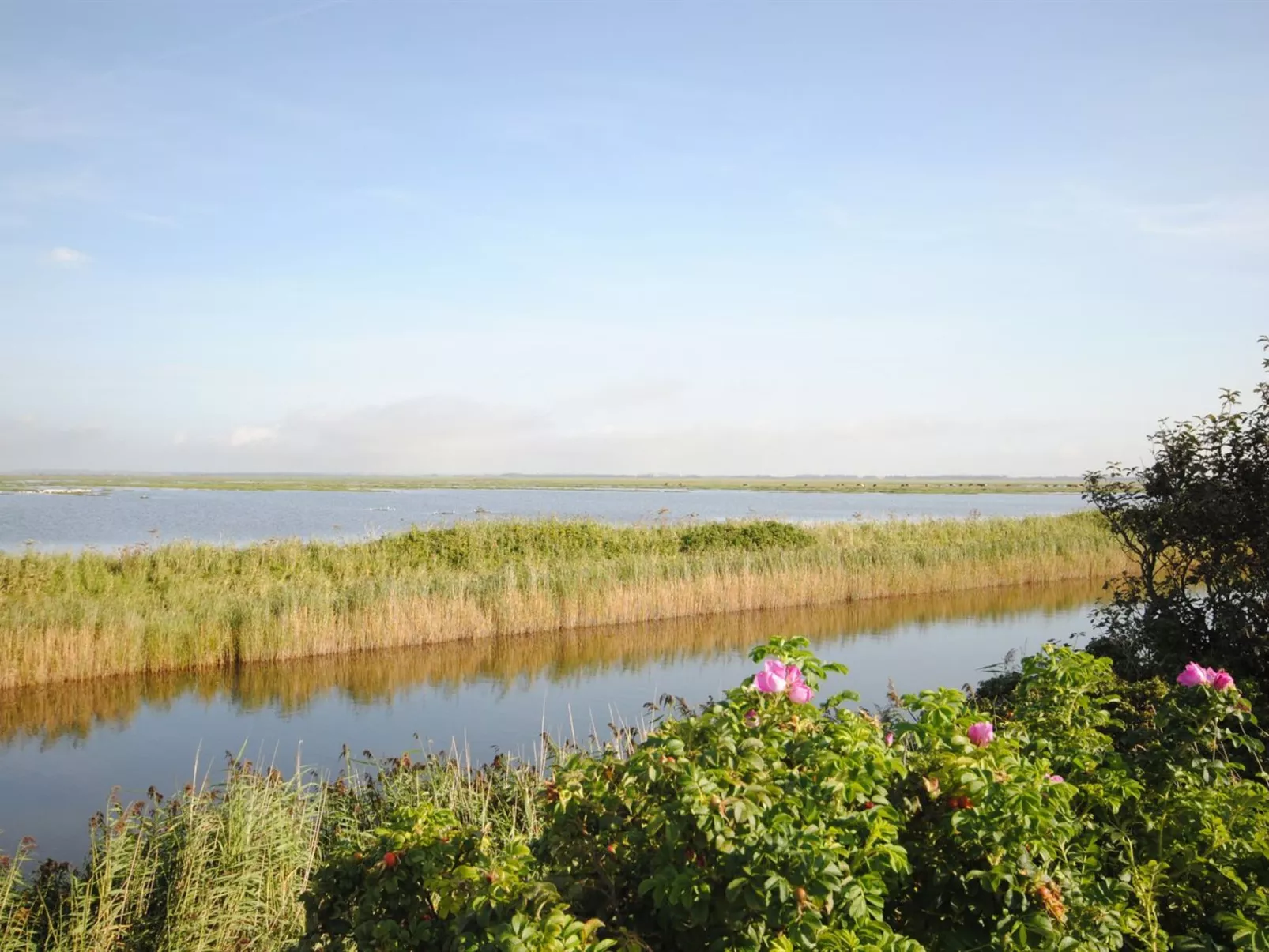 "Leocadia" - 150m to the inlet-Buiten