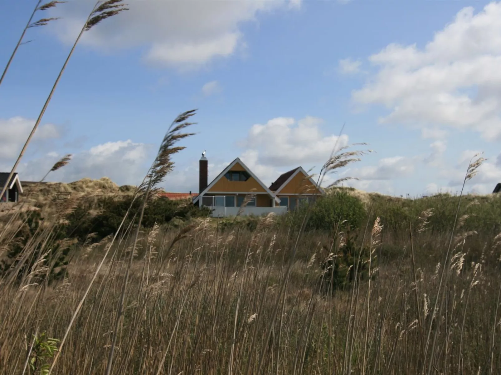 "Sys" - 500m from the sea-Buiten