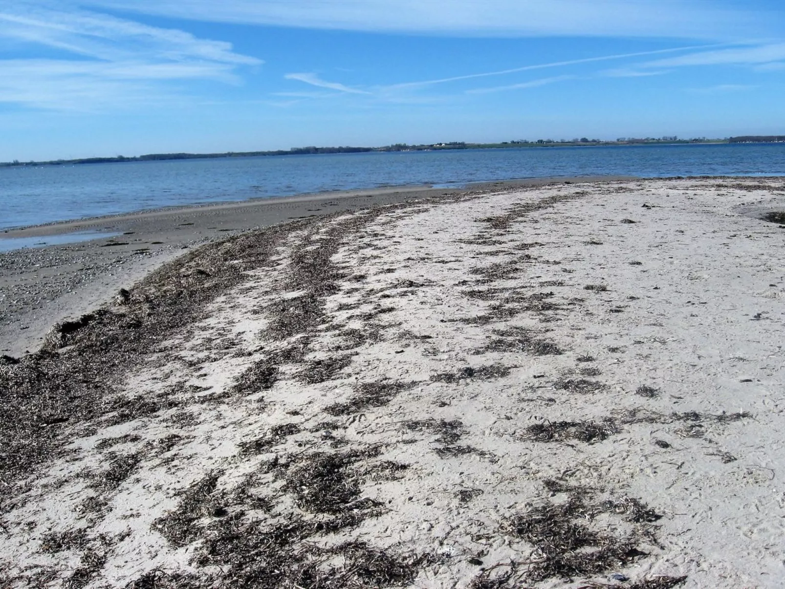 "Eddy" - 50m from the sea-Buiten