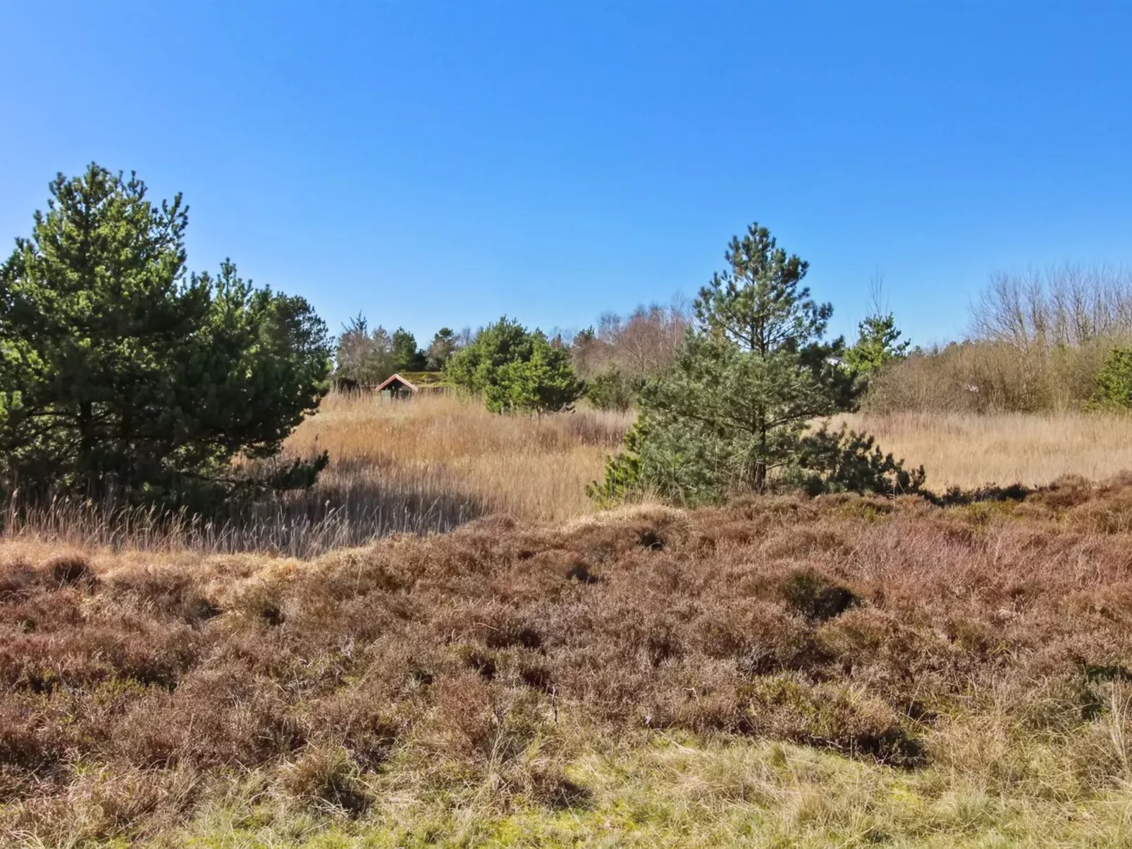 "Sara" - 2.5km from the sea-Buiten