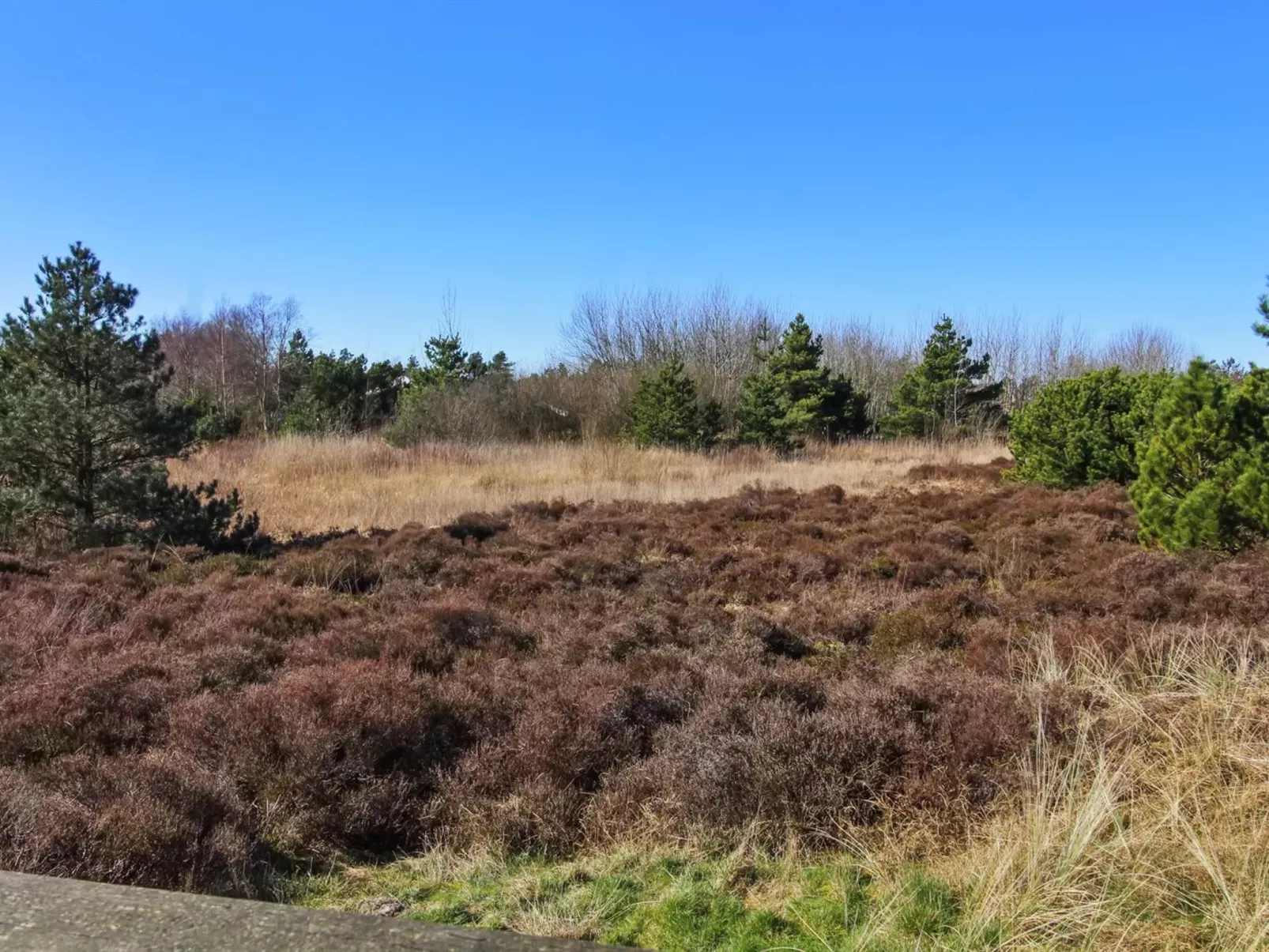 "Sara" - 2.5km from the sea-Buiten