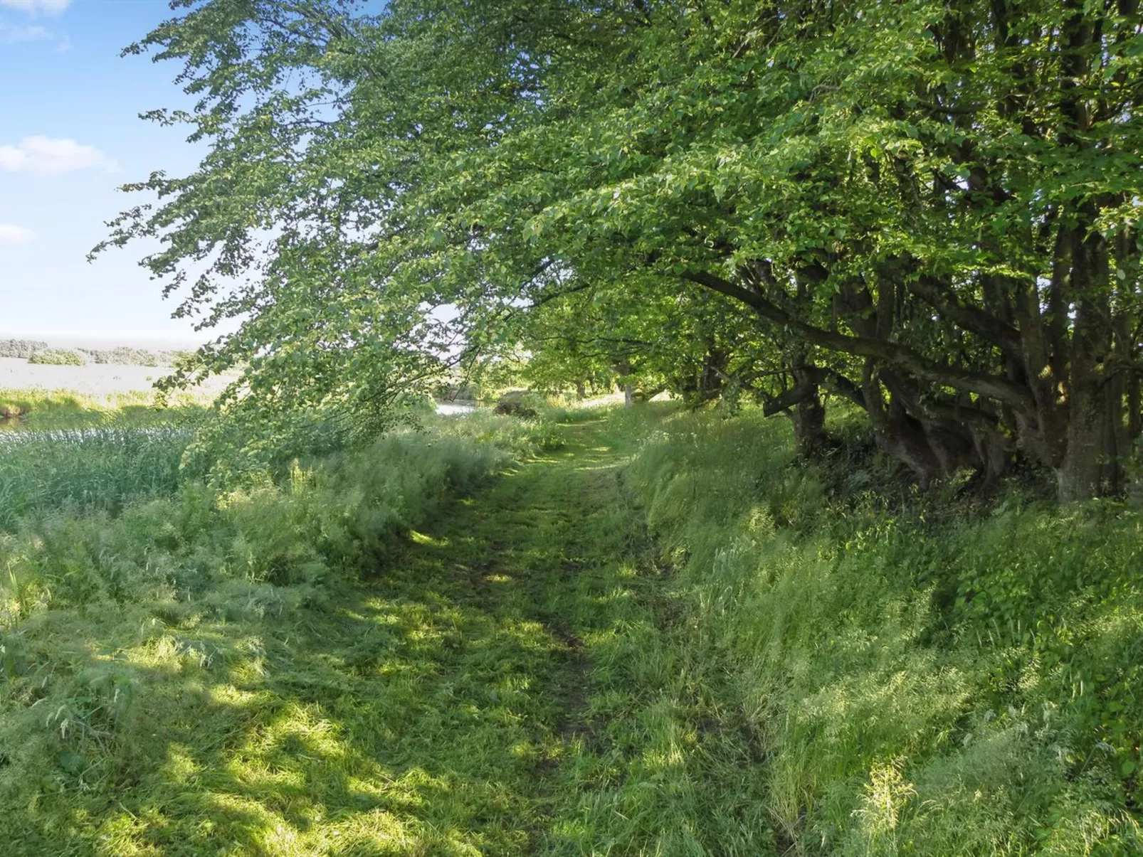 "Beatha" - 25km to the inlet-Buiten