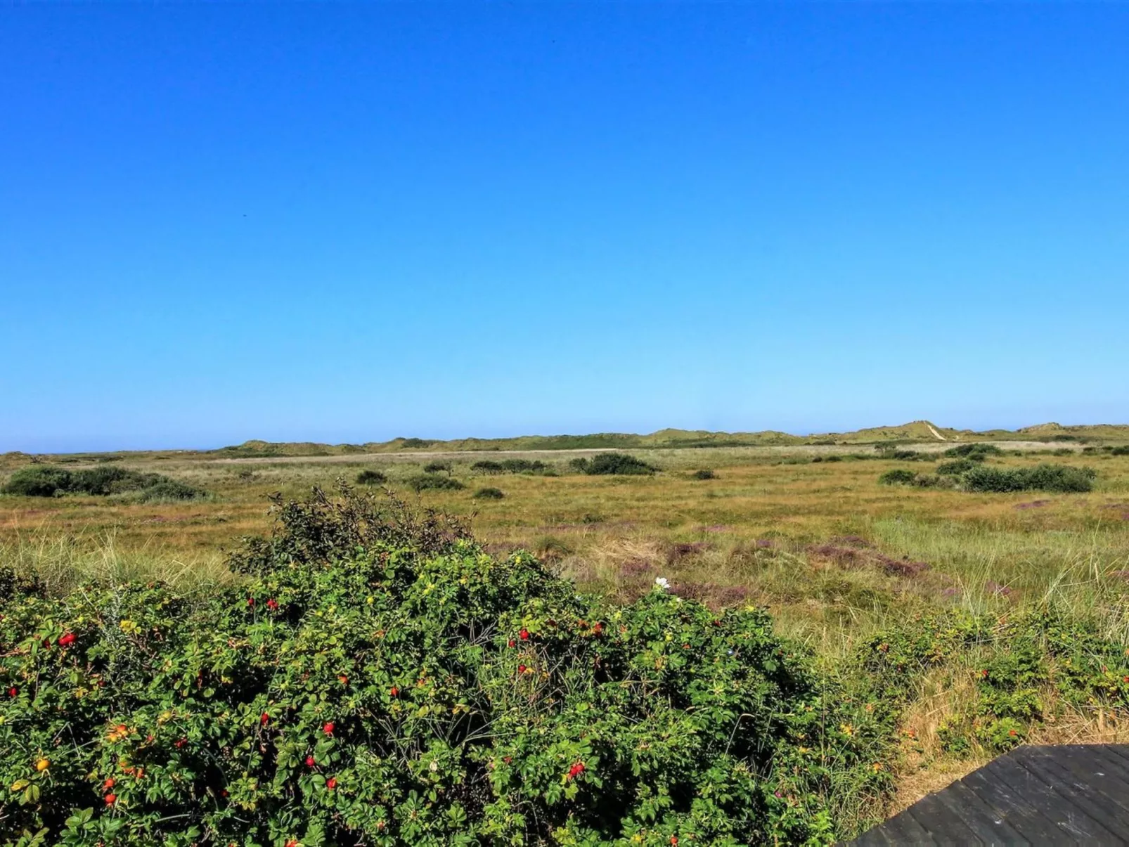 "Alim" - 300m from the sea