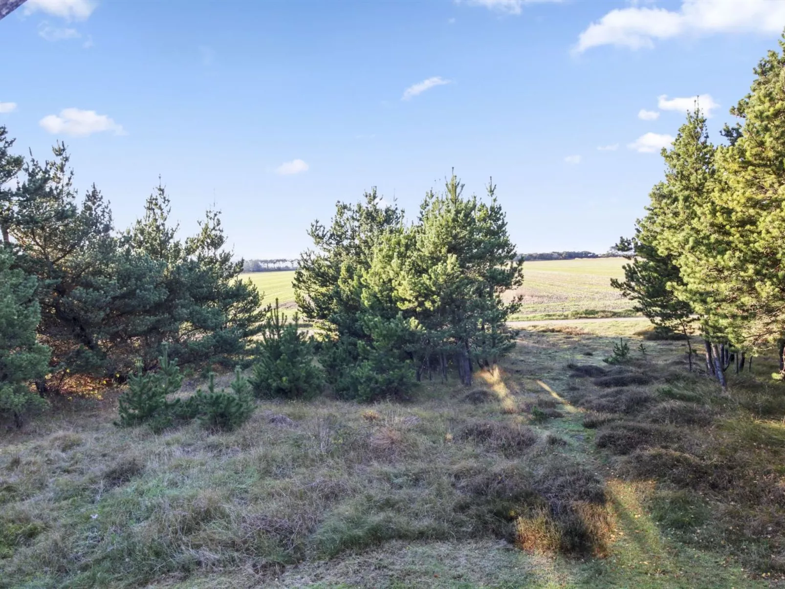"Anna" - 1km from the sea-Binnen