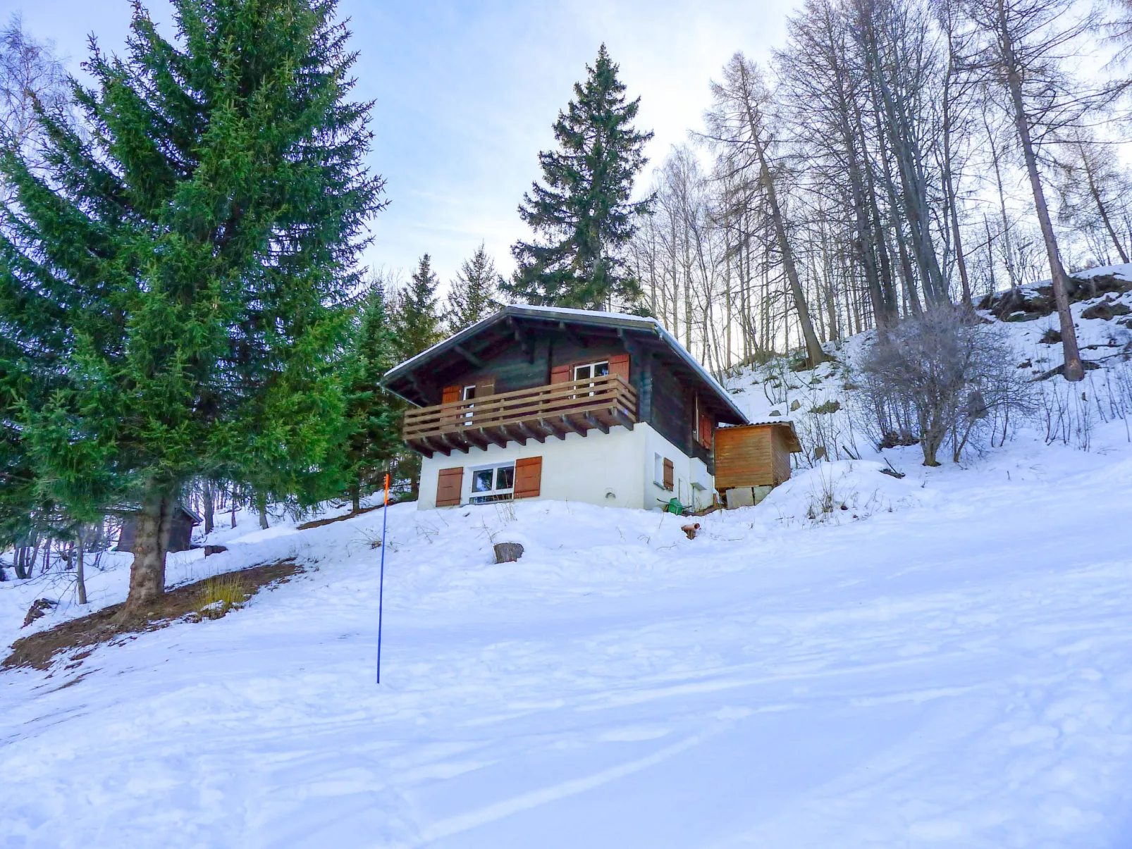 Chalet Ninette-Buiten