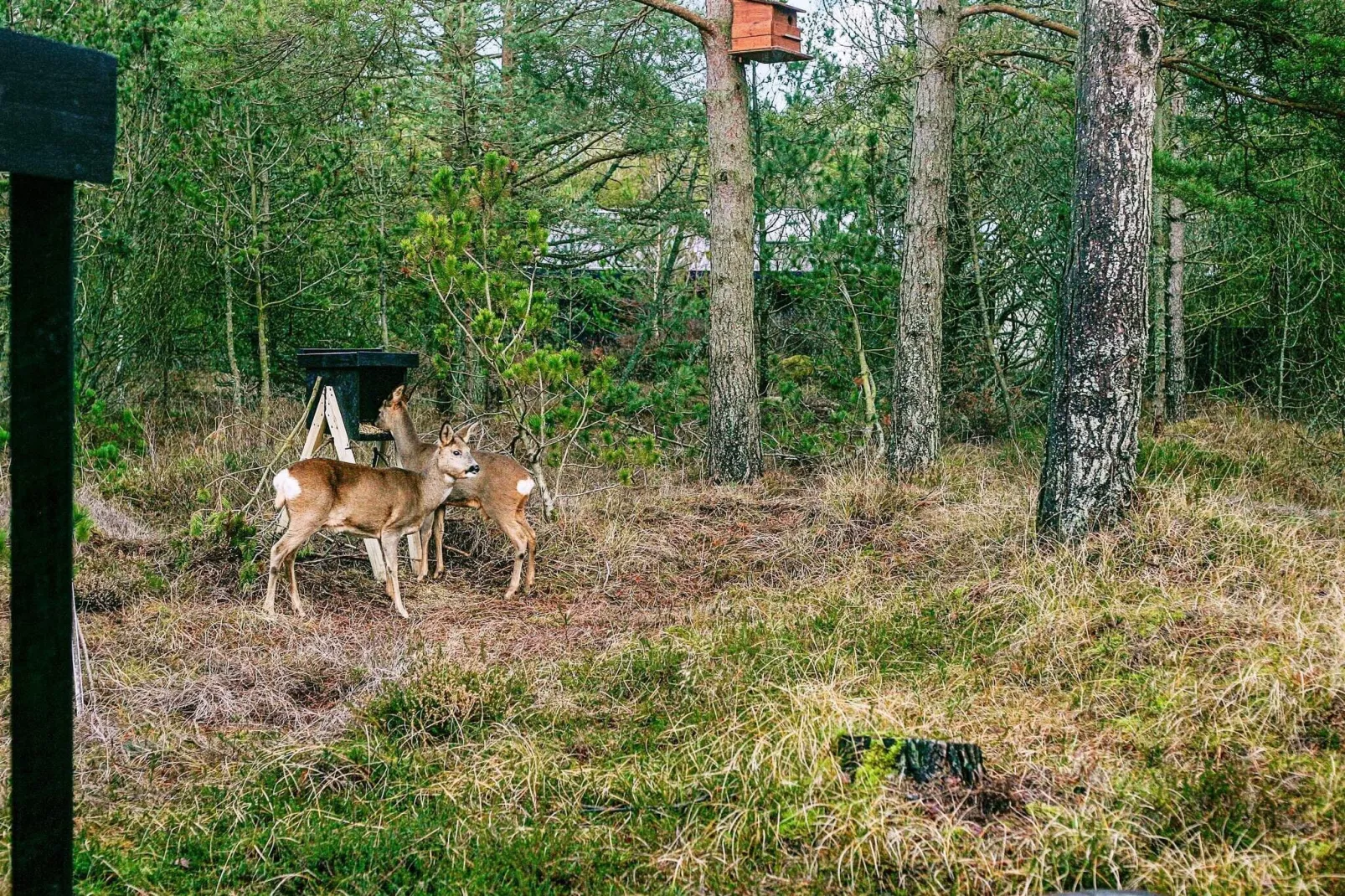 3 persoons vakantie huis in Ålbæk-Buitenlucht