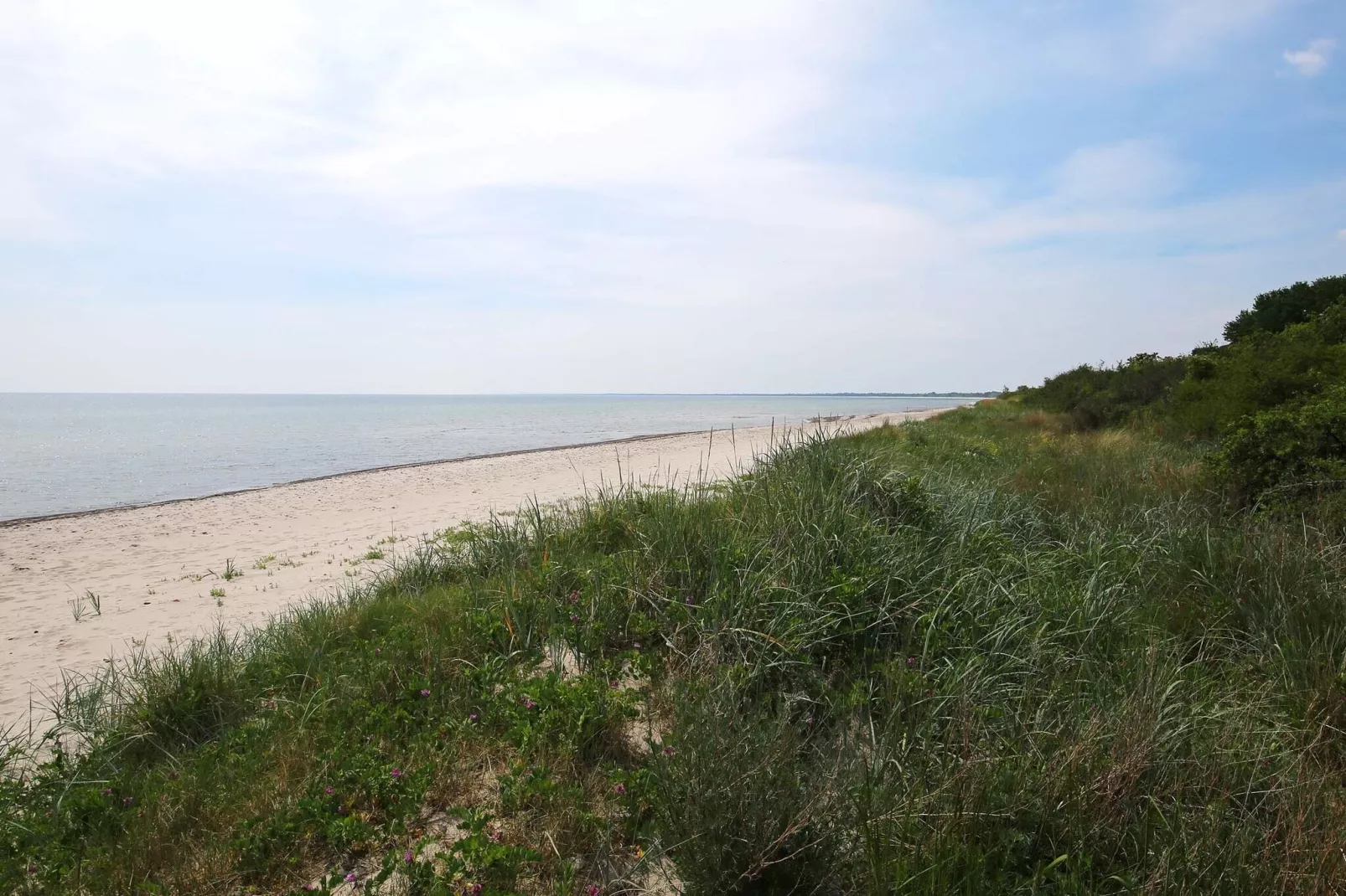 6 persoons vakantie huis in Idestrup-Niet-getagd