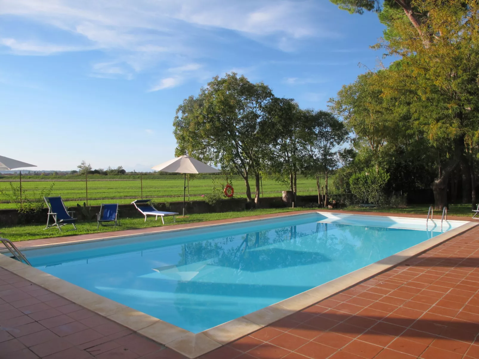 Scaletta + GIrasole-Buiten
