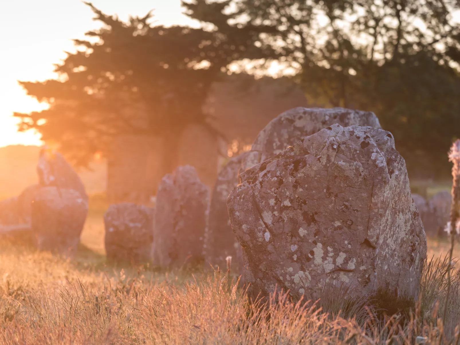 Les Reflets de Carnac-Omgeving