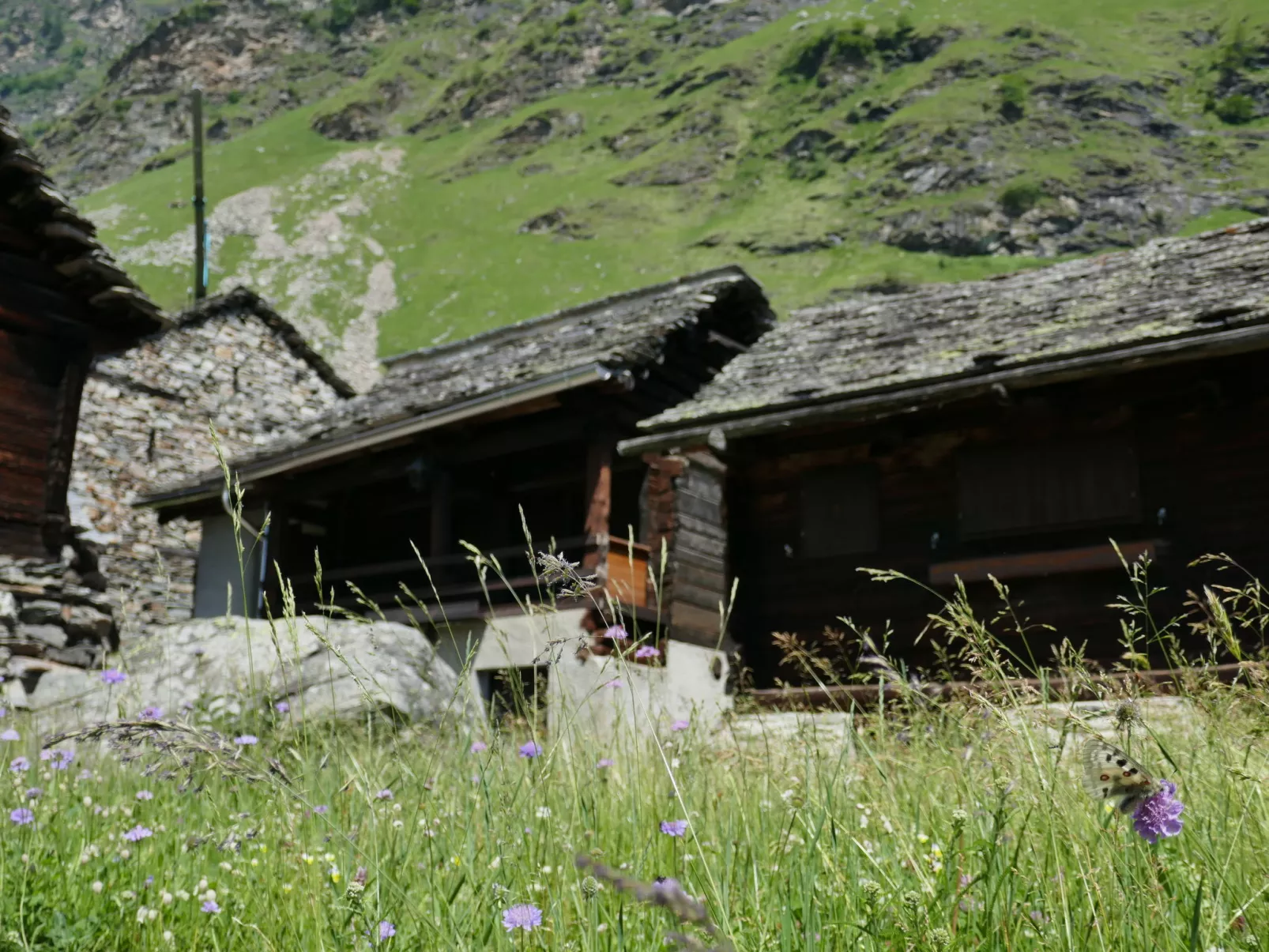 Rustico Fortuna-Buiten