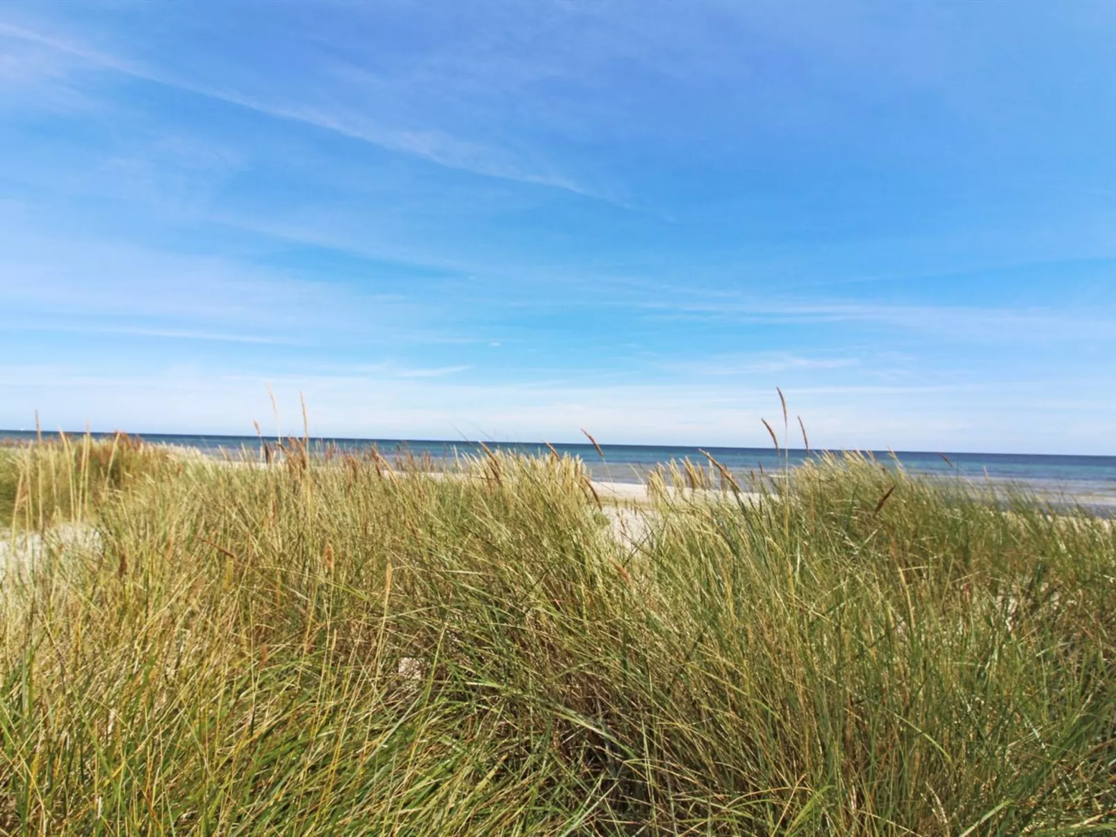 "Gaja" - 1km from the sea