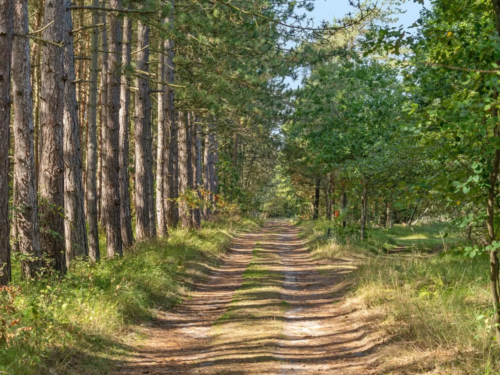 "Beatrix" - 700m from the sea-Buiten