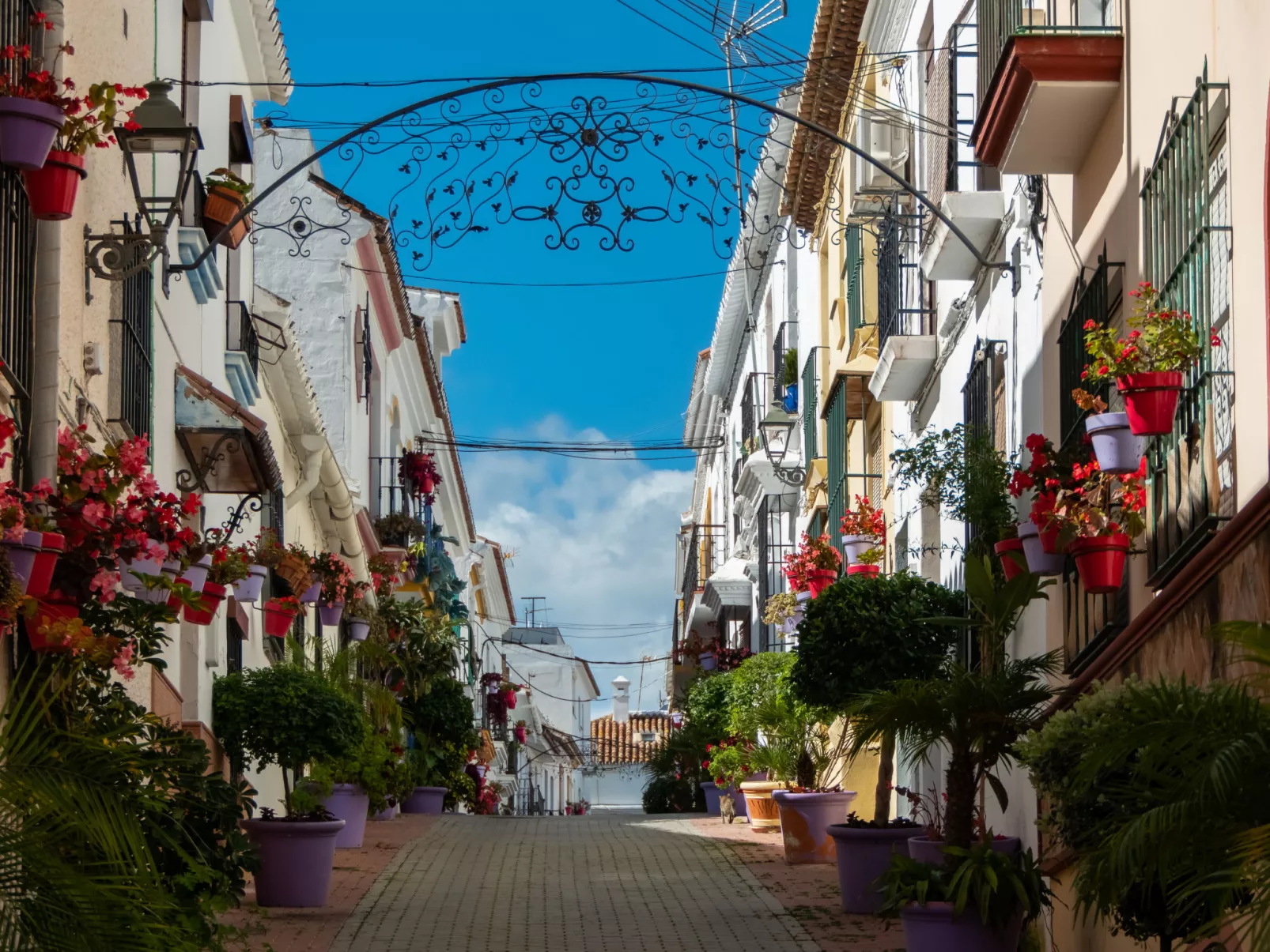 Cortesin-Omgeving