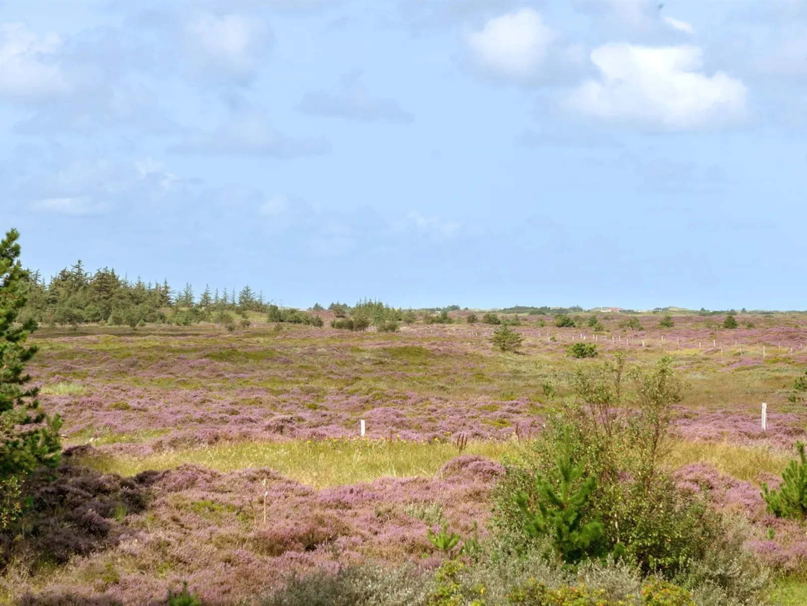 "Urpo" - 6km from the sea-Buiten