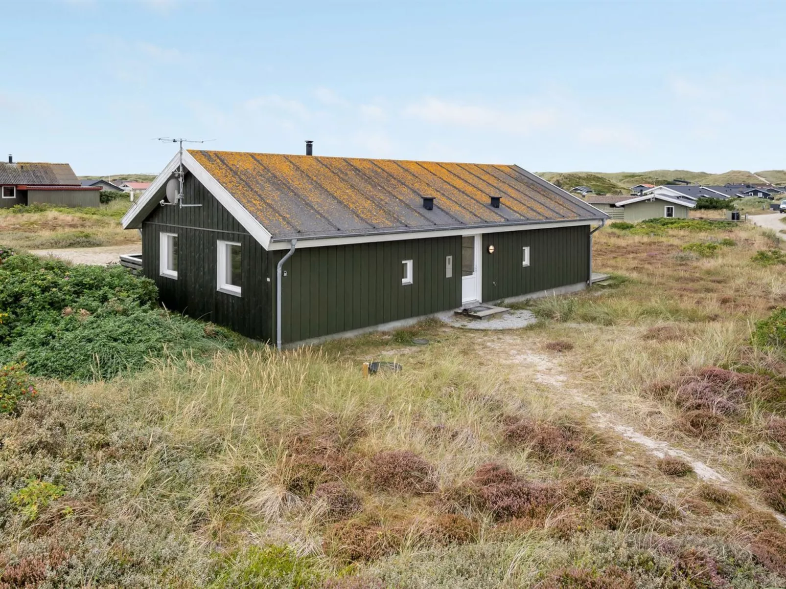 "Sibyll" -  from the sea-Binnen