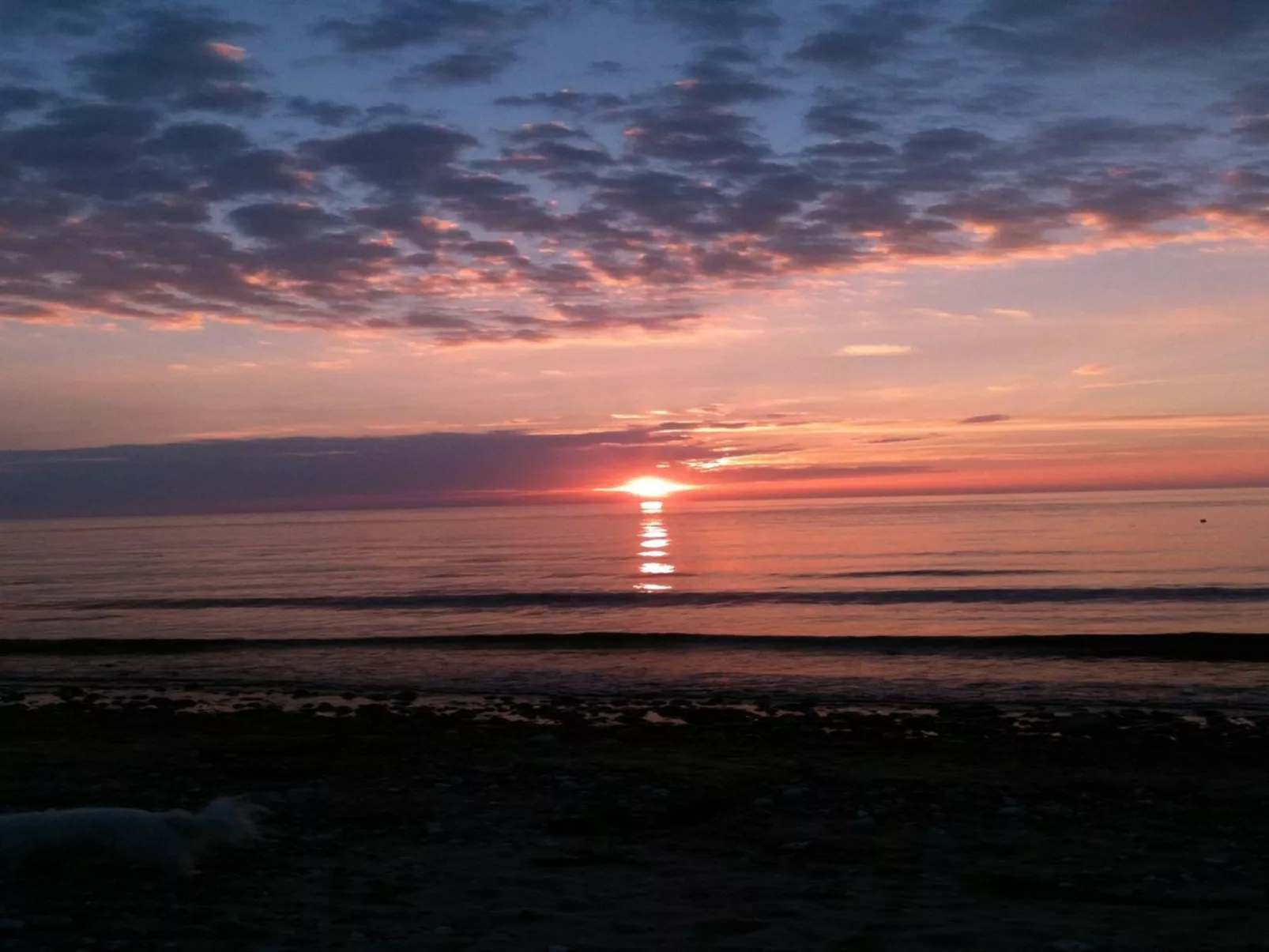 "Fasti" - 300m from the sea-Buiten