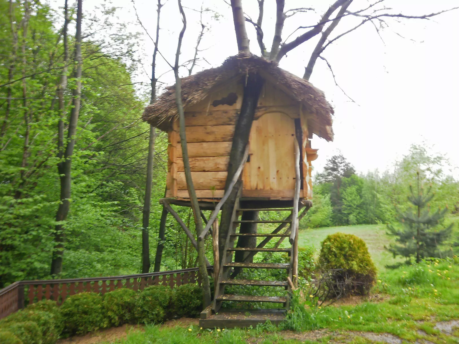 Borówna-Buiten