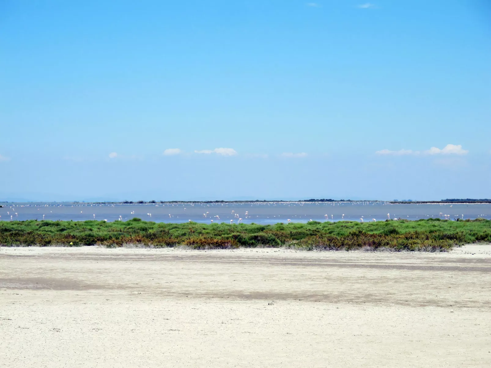 Le Californie-Omgeving