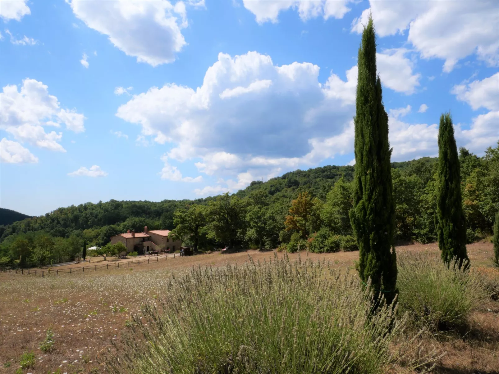 Pian dei Carpini - Chiara-Buiten