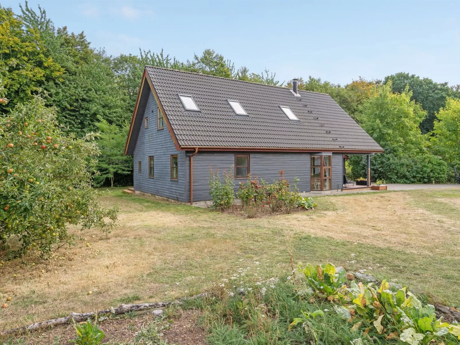 "Jorith" - 550m from the sea-Buiten