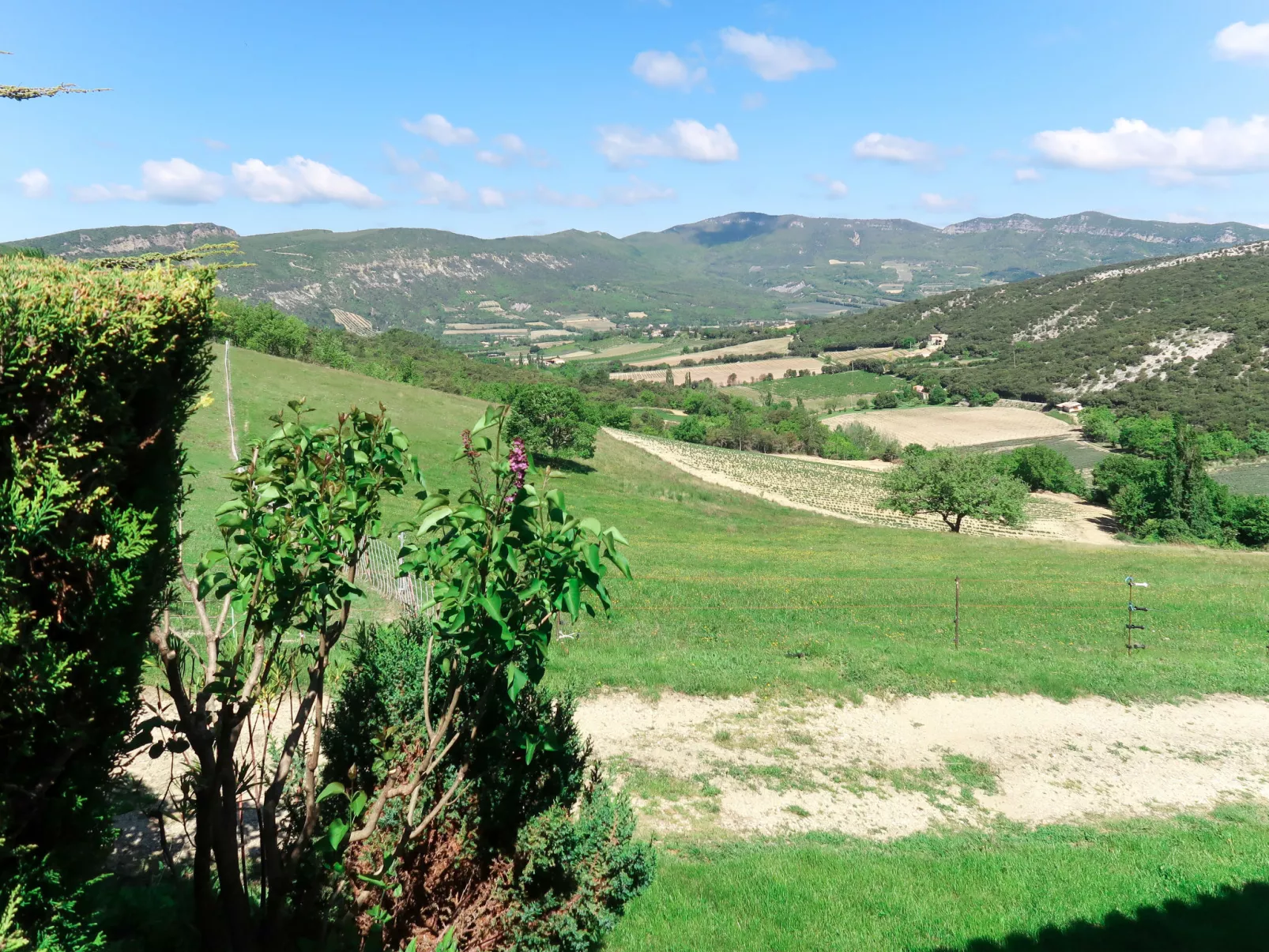 Le Cèdre-Buiten