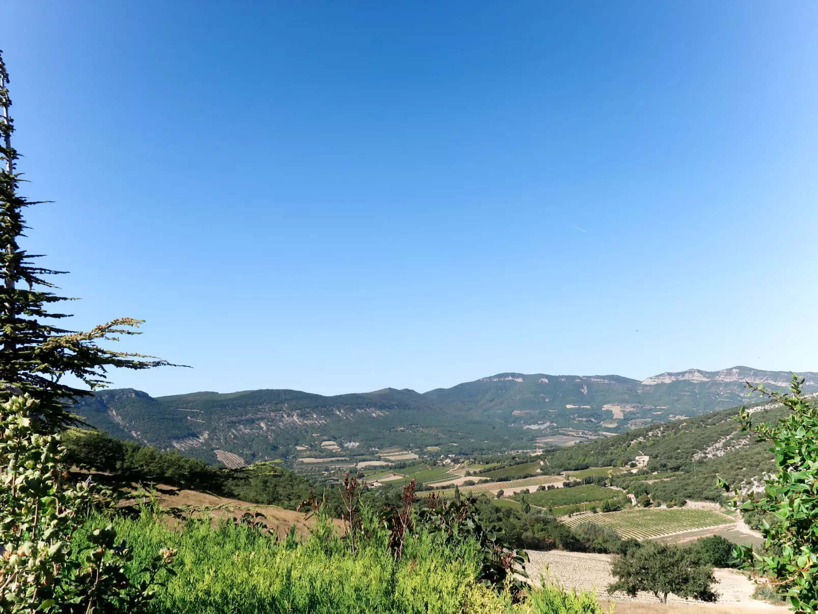 Le Cèdre-Buiten