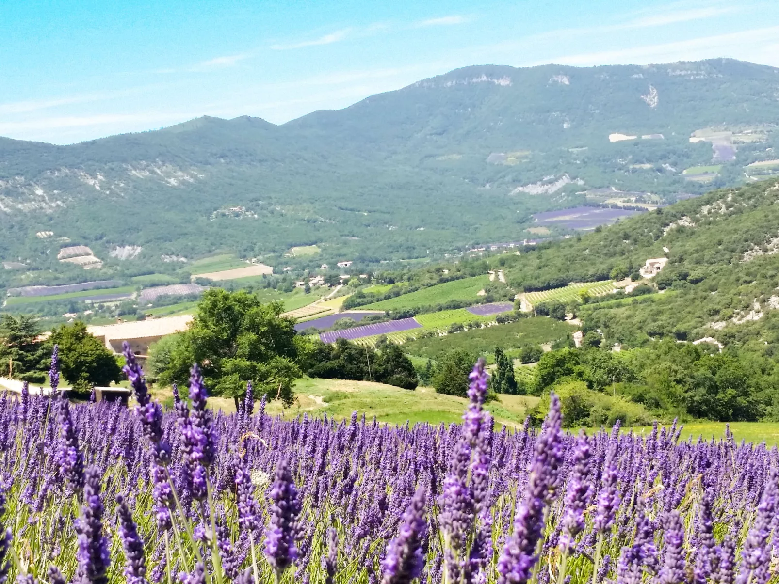 Le Cèdre-Buiten
