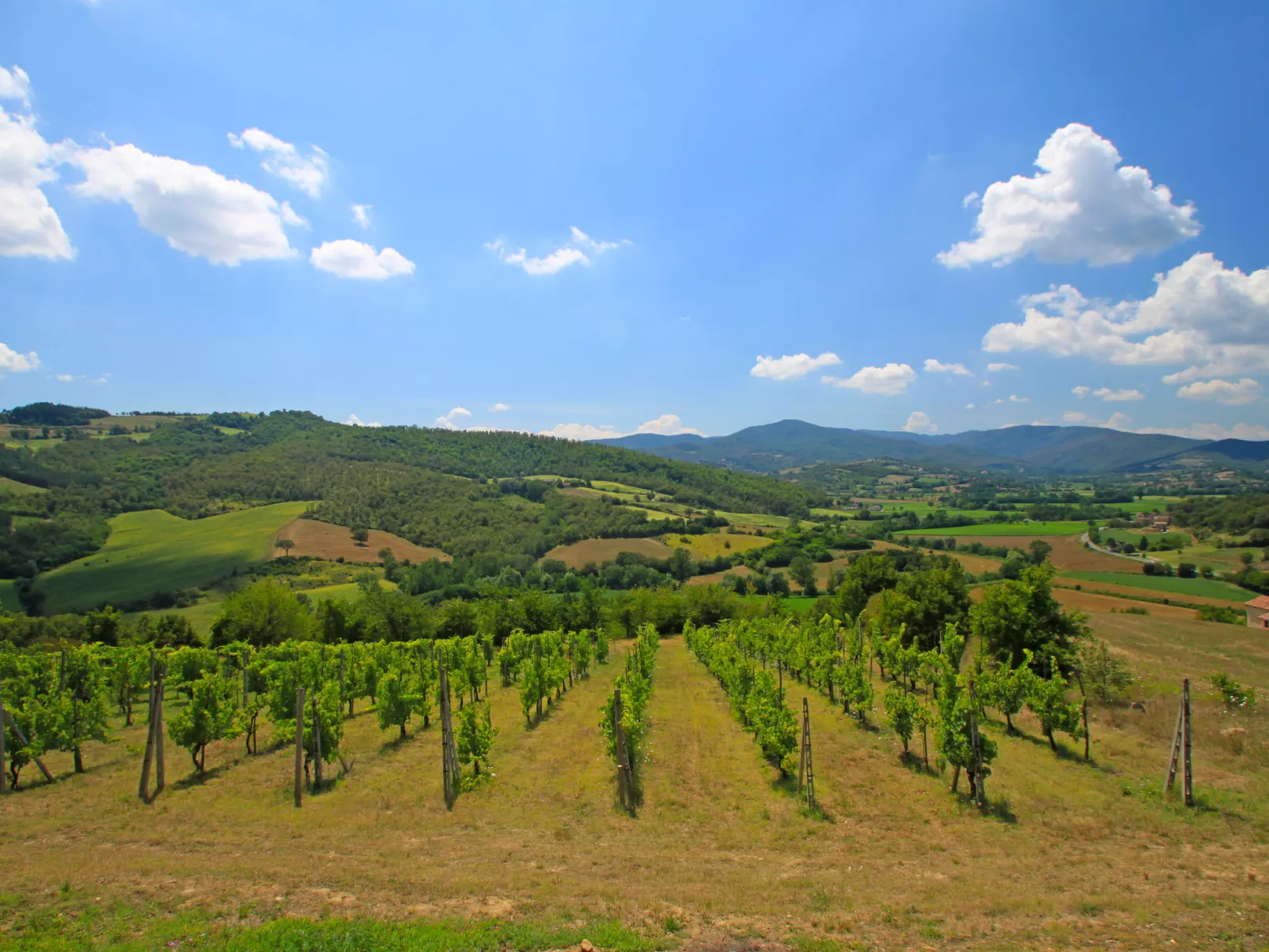 Montebello-Buiten