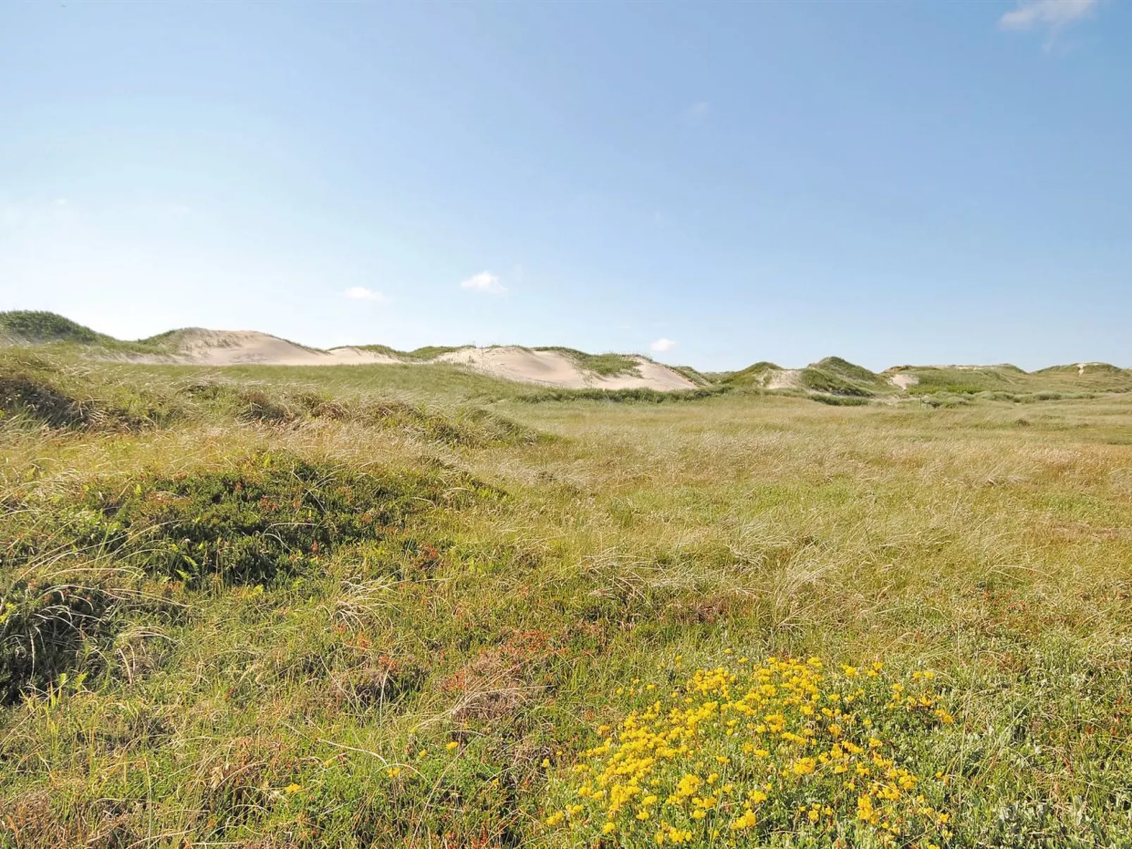 "Riborg" -  from the sea-Buiten