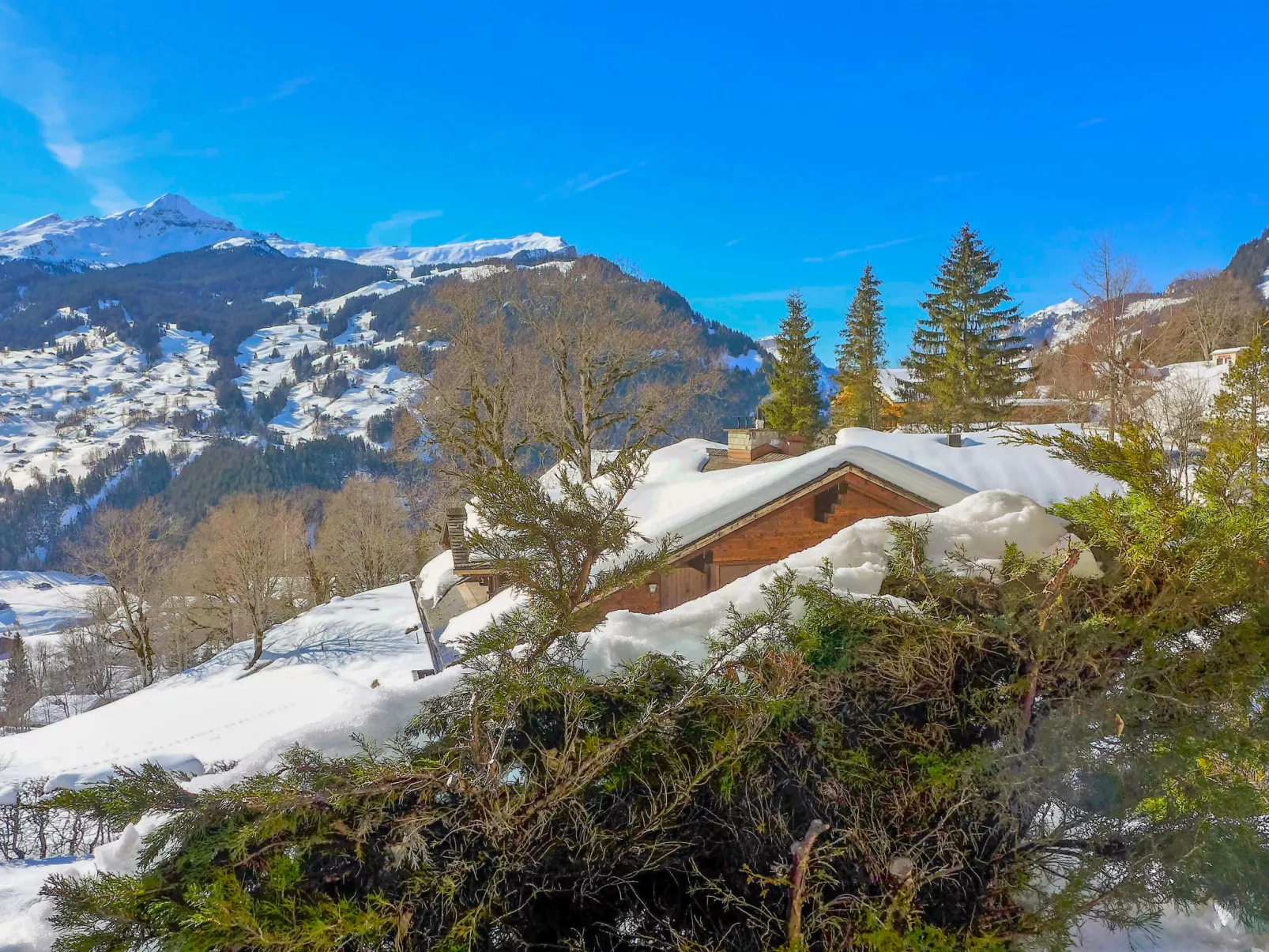 Chalet Hobelbank-Buiten