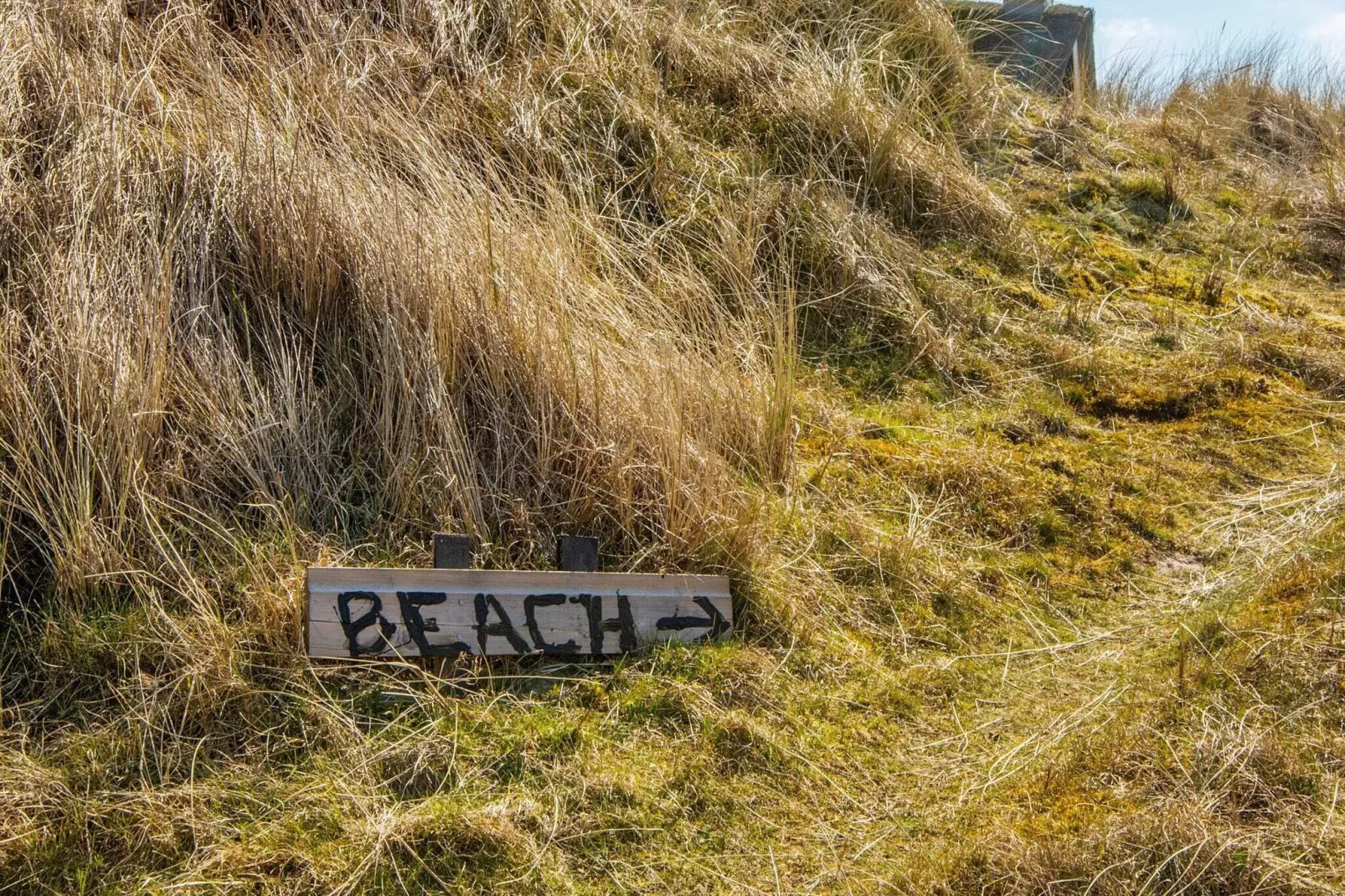 8 persoons vakantie huis in Fanø-By Traum-Uitzicht