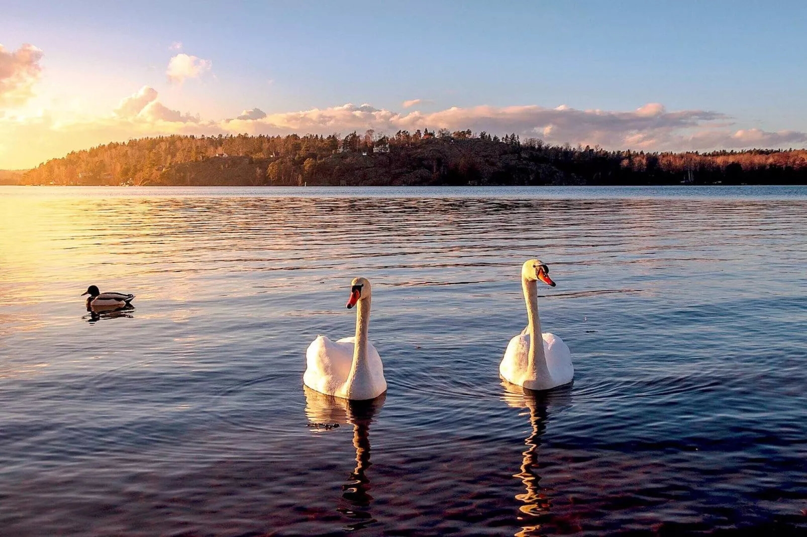 6 persoons vakantie huis in EKERÖ-By Traum