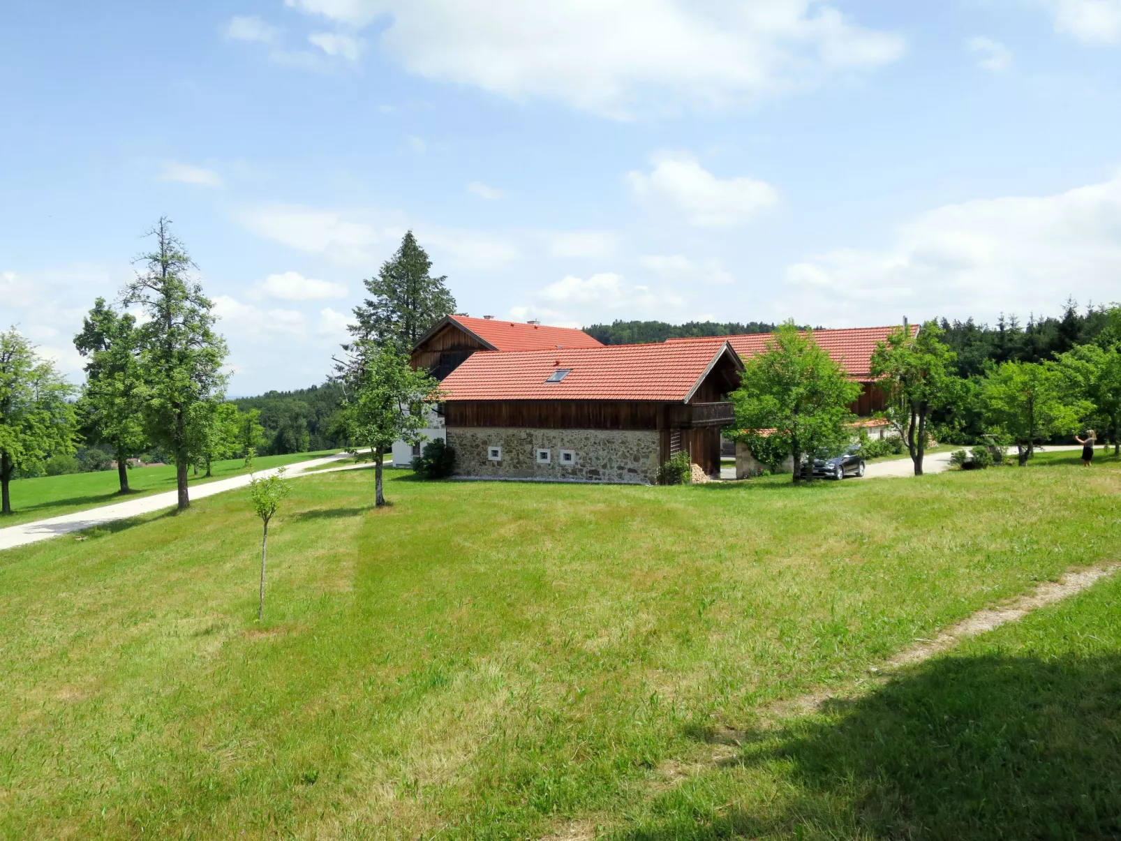 Lehner im Wald-Buiten