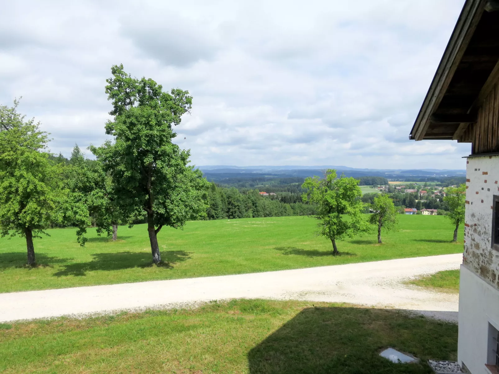 Lehner im Wald-Buiten