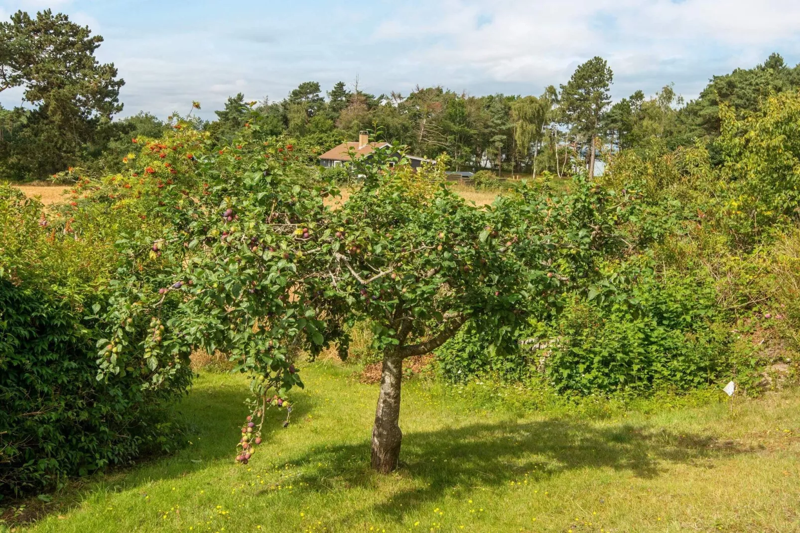 7 persoons vakantie huis in Knebel-By Traum-Uitzicht