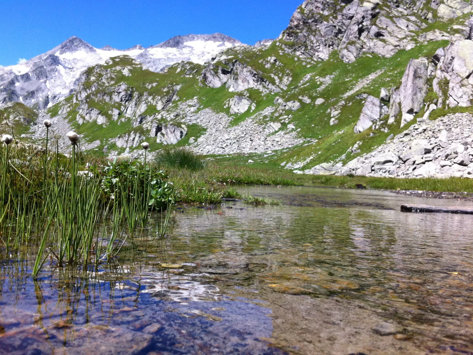 Rustico La Dimora-Omgeving