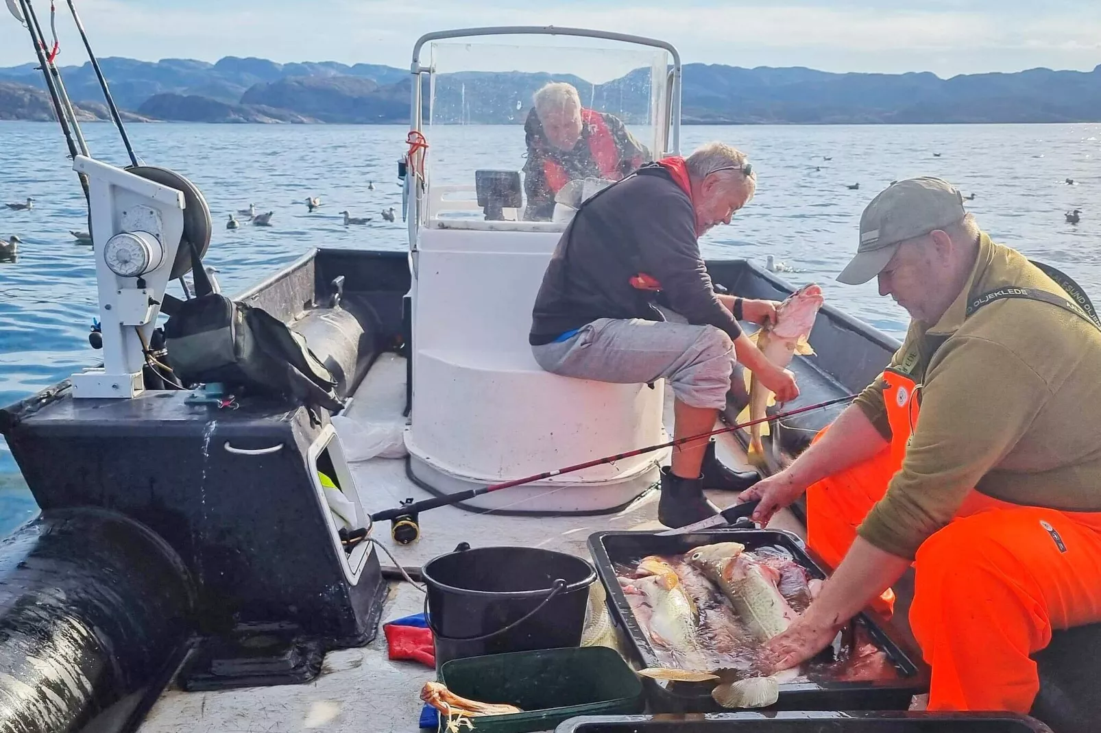 7 persoons vakantie huis in JARFJORD-By Traum-Niet-getagd