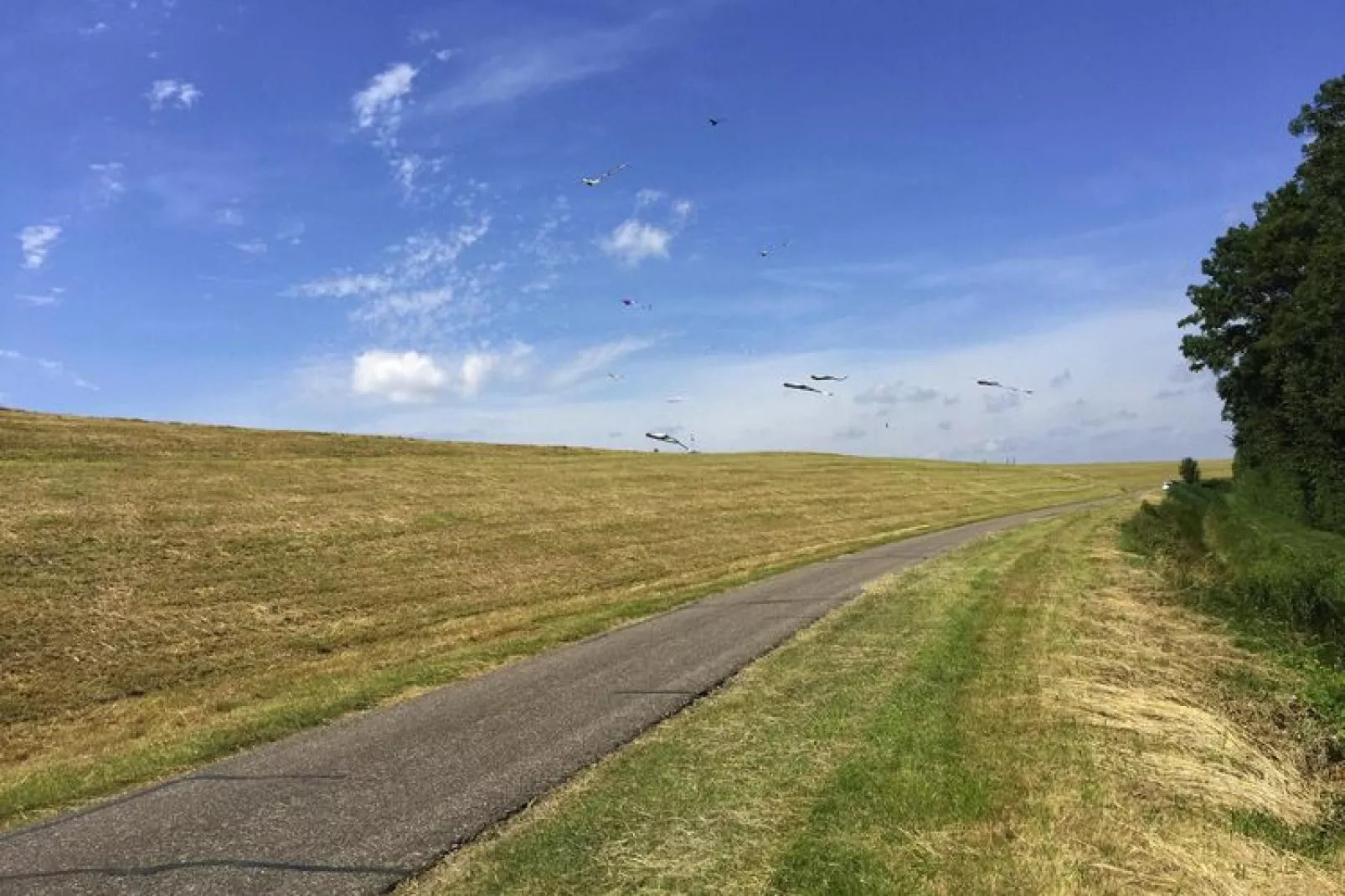 Holiday home, Baarland- - Gebieden zomer 5km