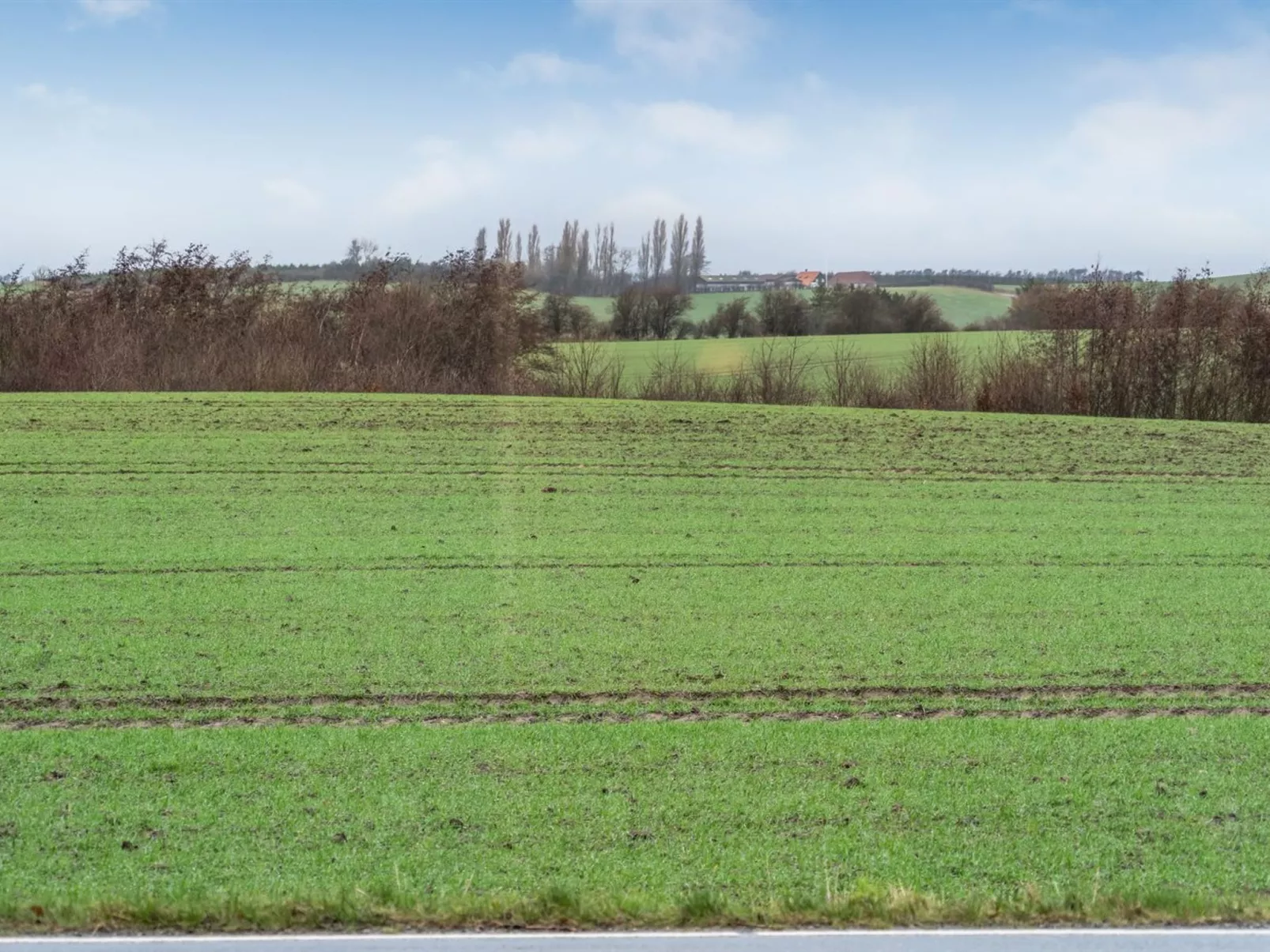"Truels" - 2km from the sea-Buiten