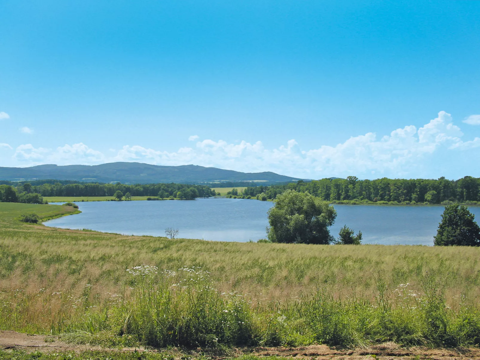 Panorama-Omgeving