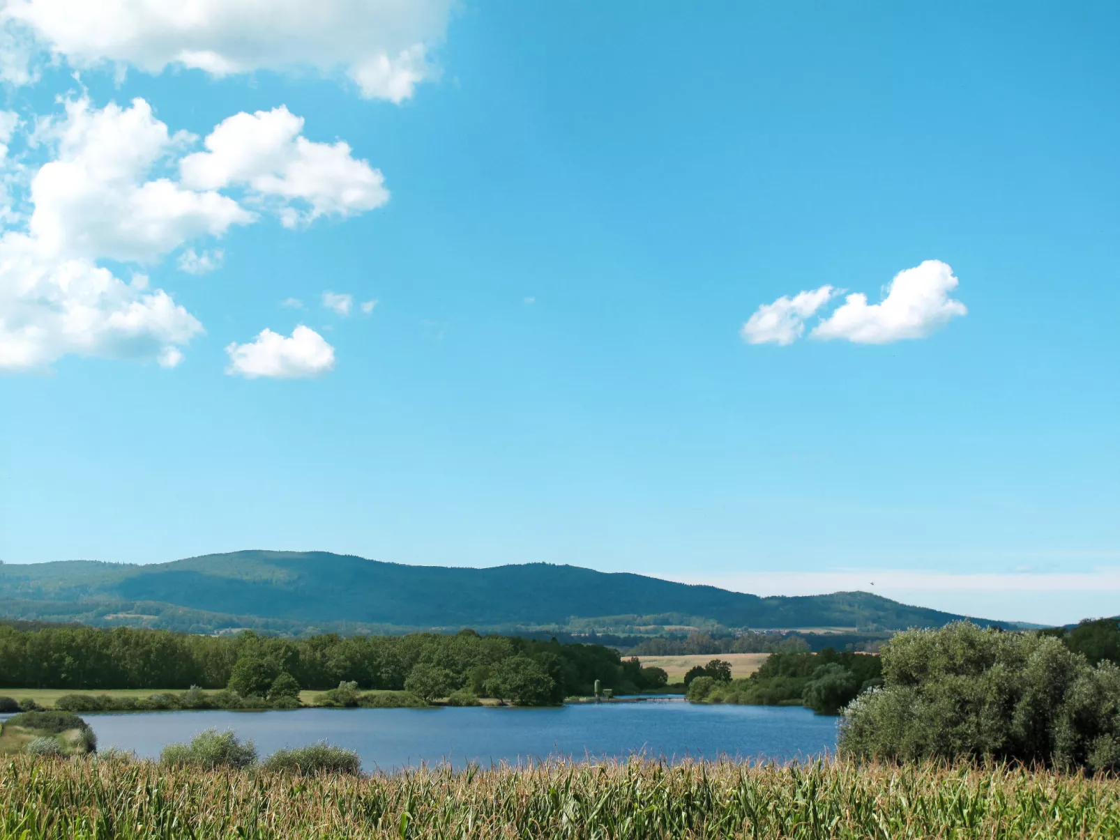 Panorama-Omgeving