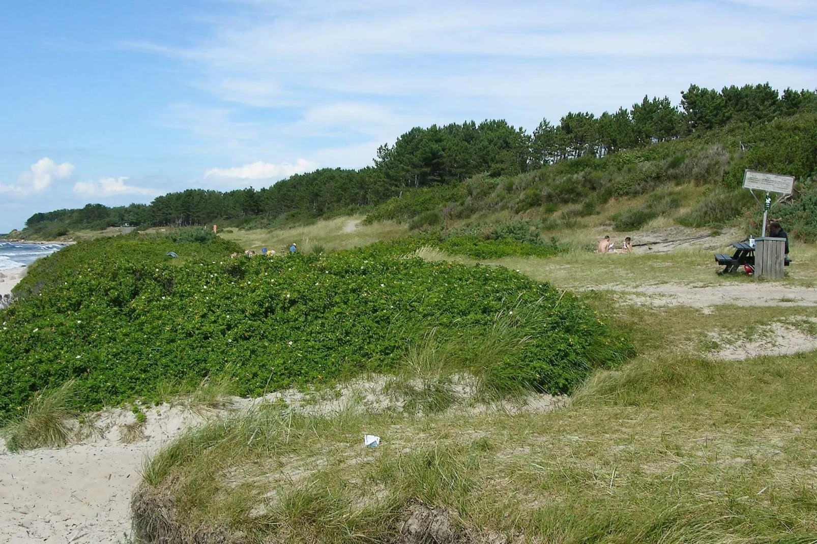 8 persoons vakantie huis in Hasle-Uitzicht